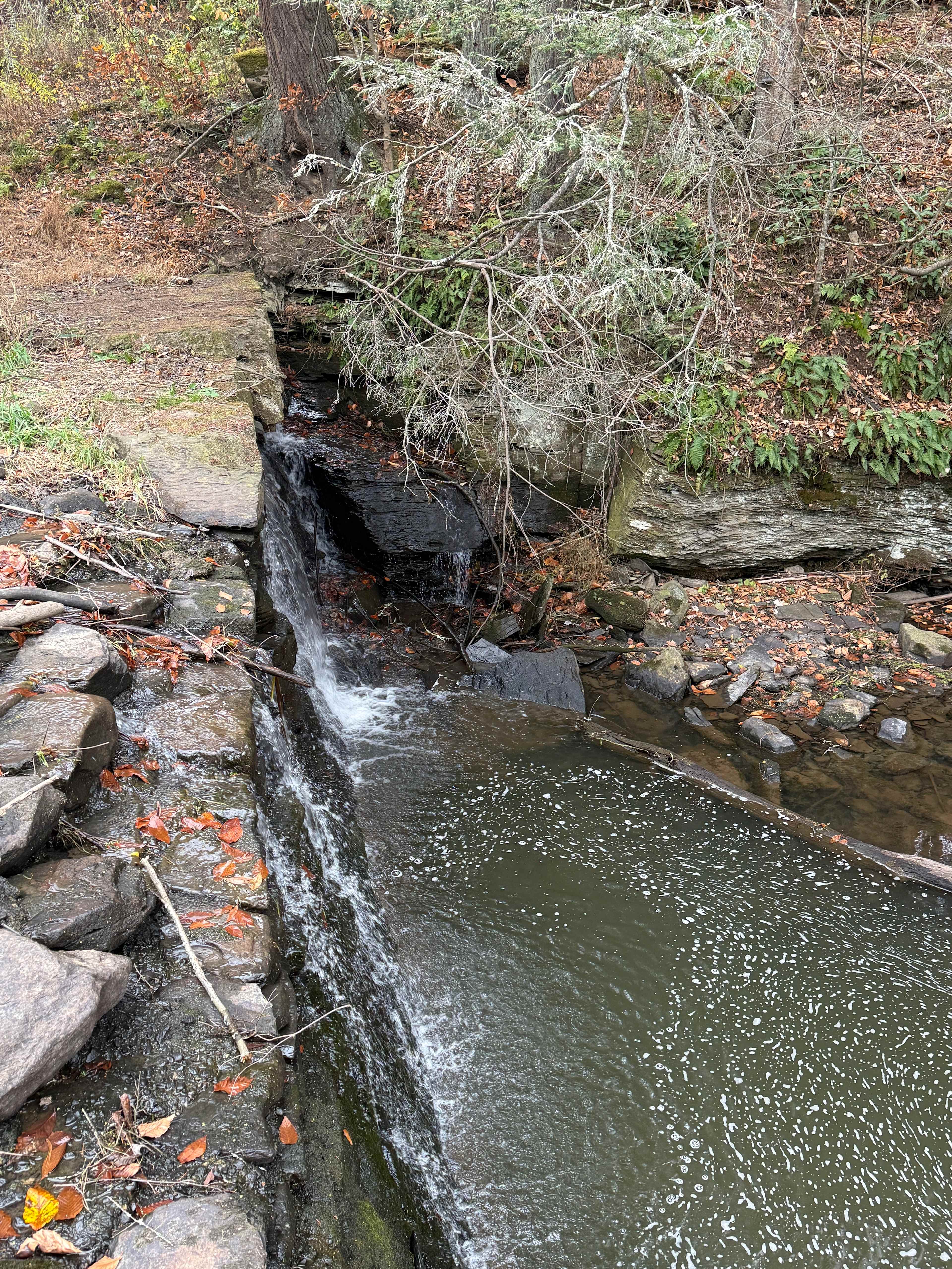 Lake Front Campsite !!!
