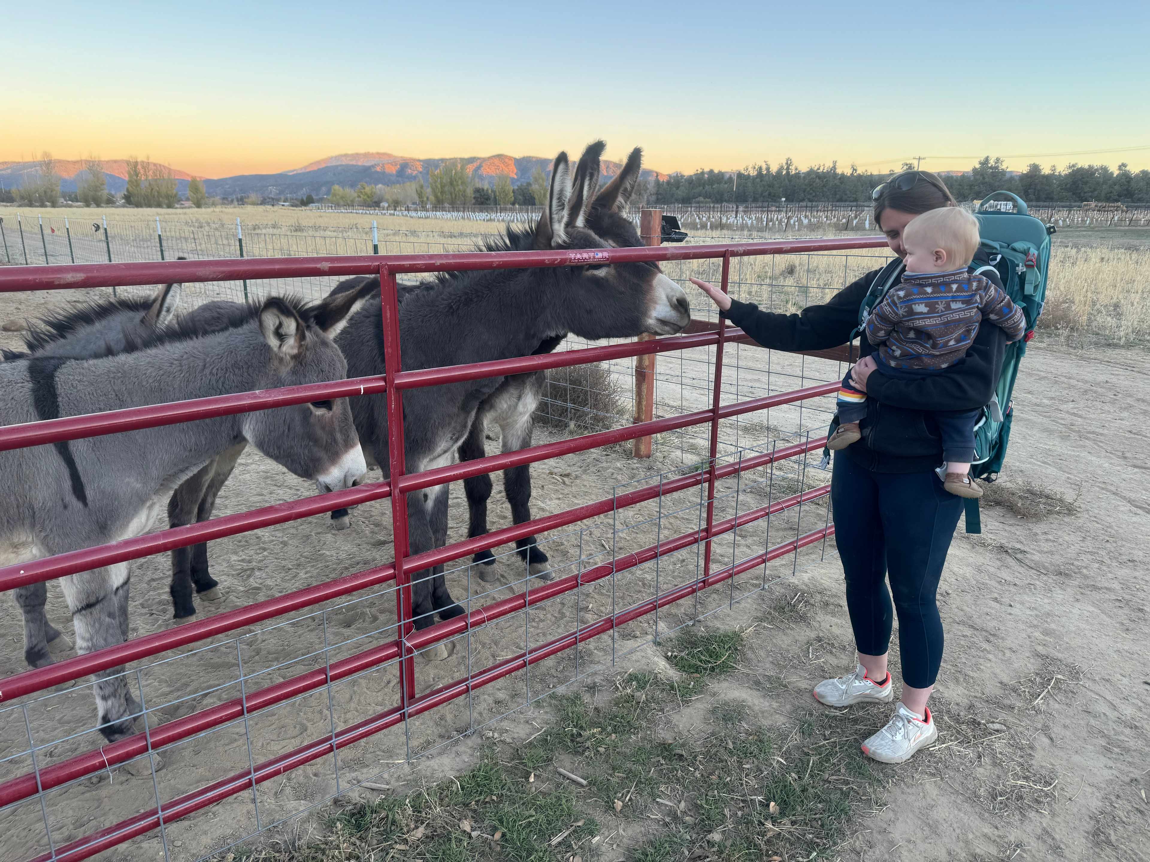 North Fork Ranch (Horses Welcome)