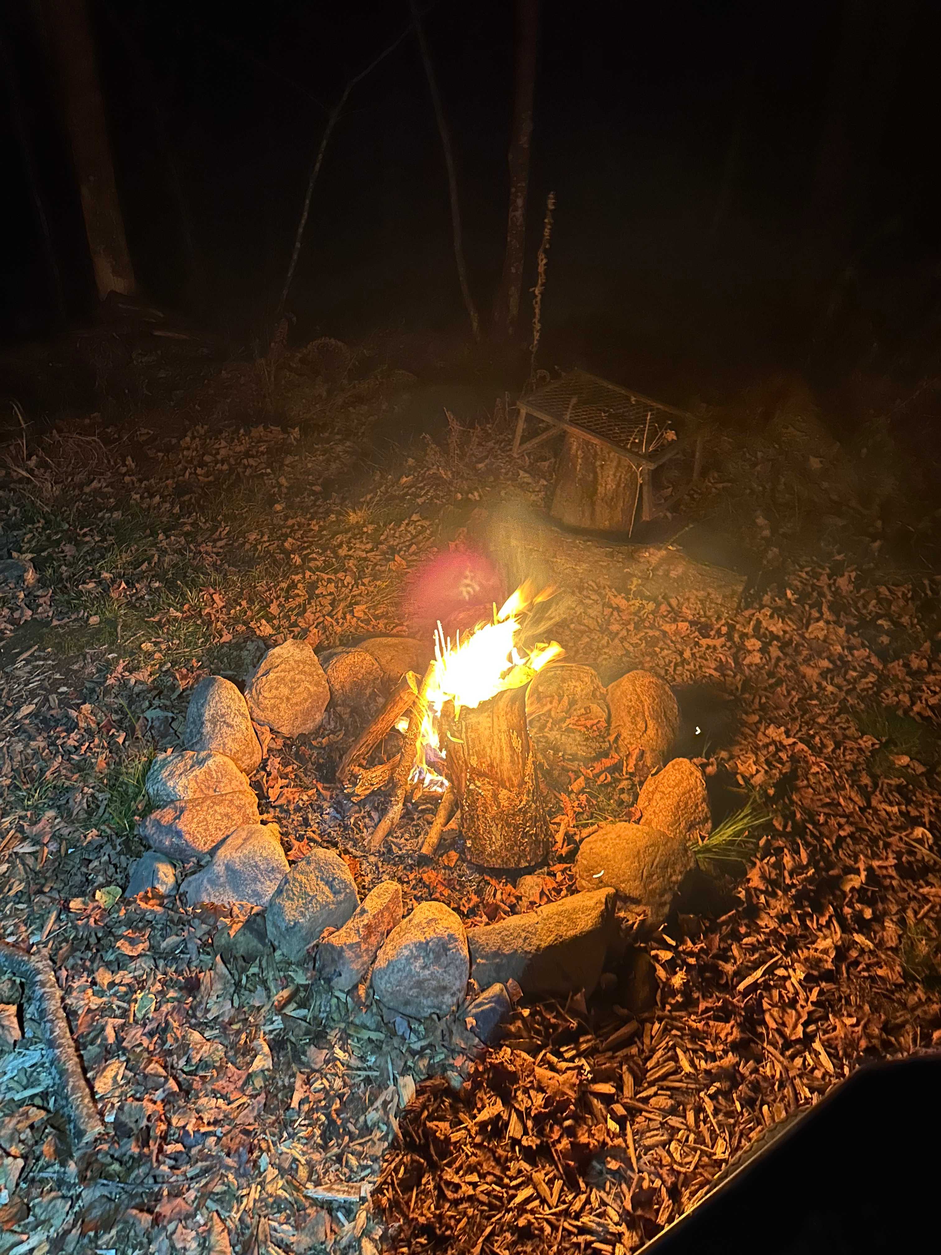 Chippewa River Forest