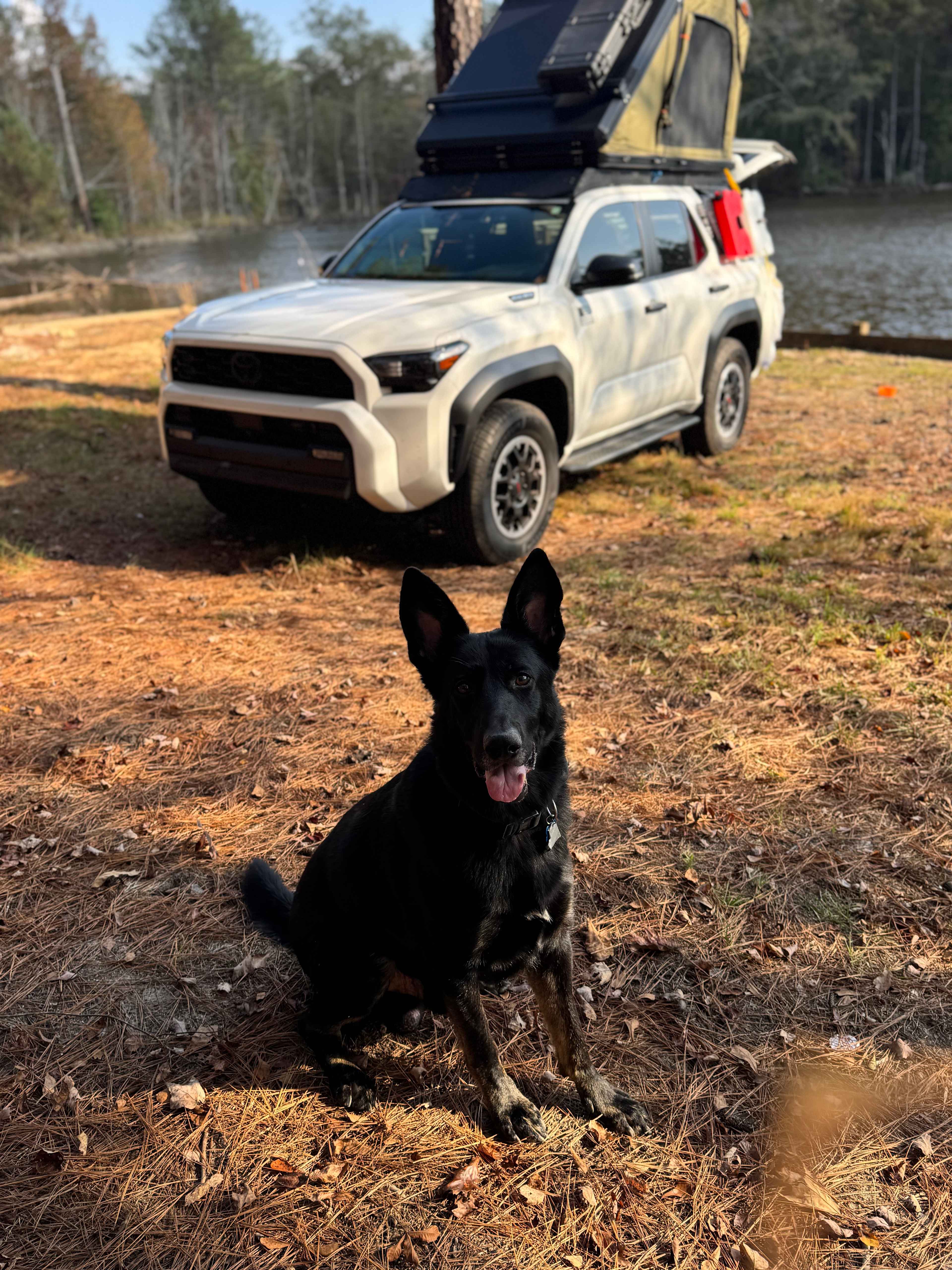 The Hollow: Off-Grid Paradise