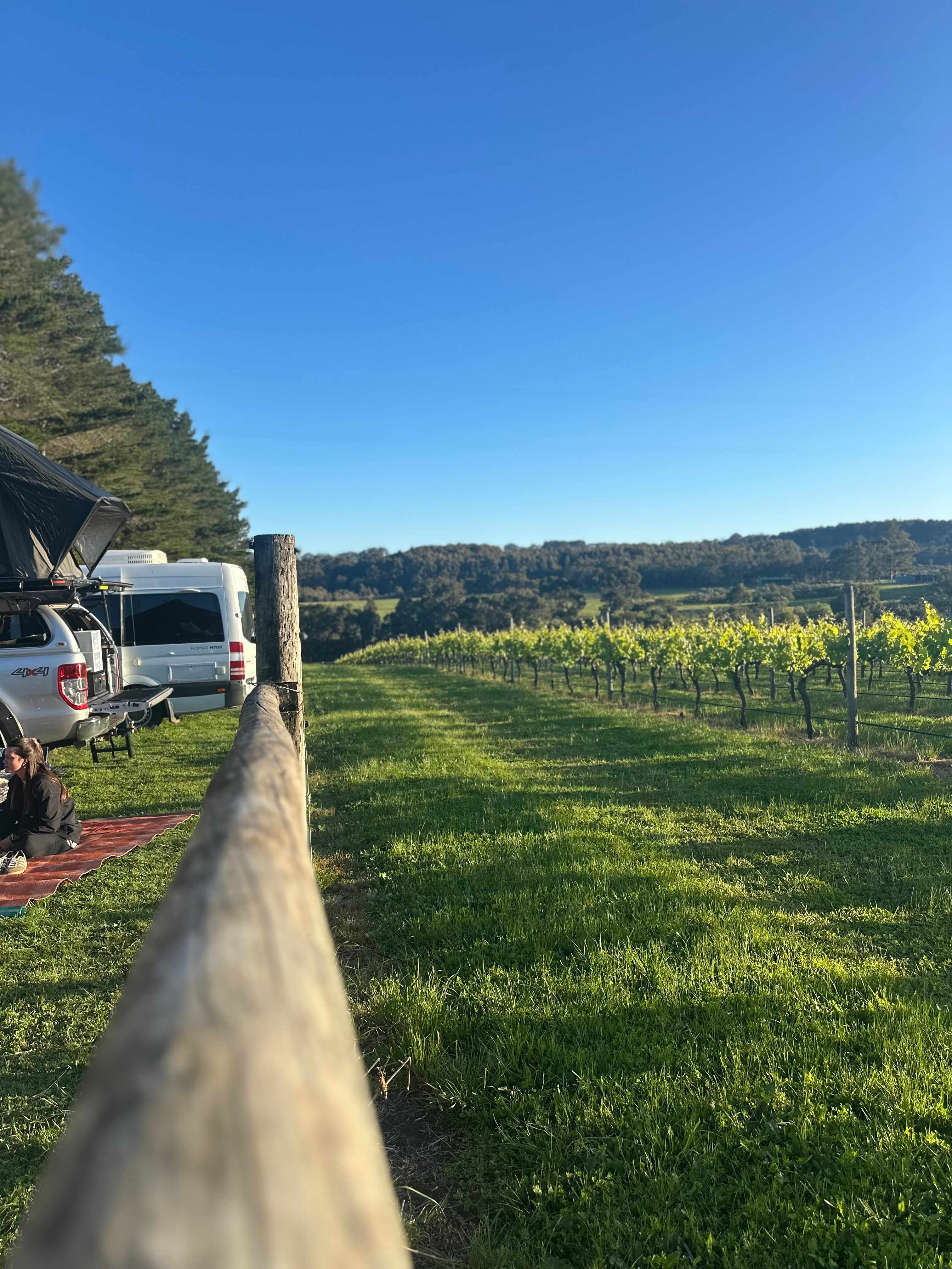Beautiful grass to camp on, great for the puppies