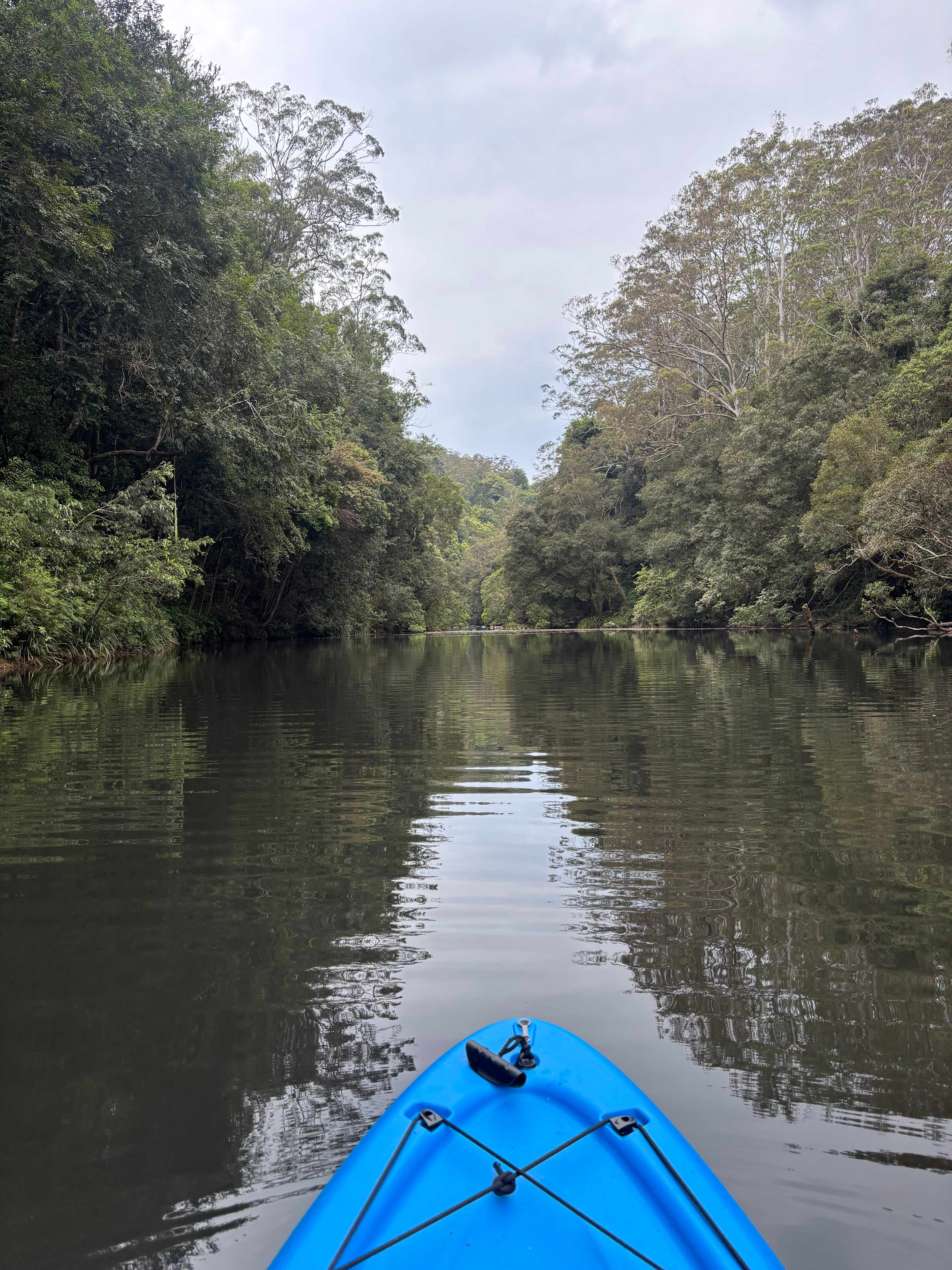 Frog Hollow on Bobo River