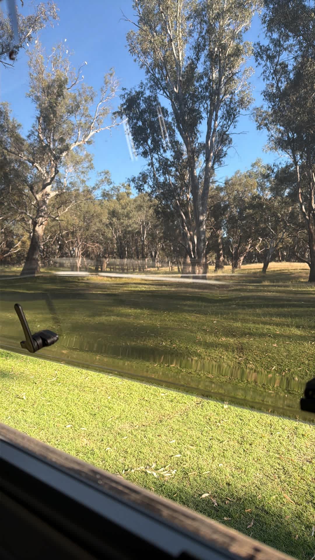 Palm Cove On The Murrumbidgee