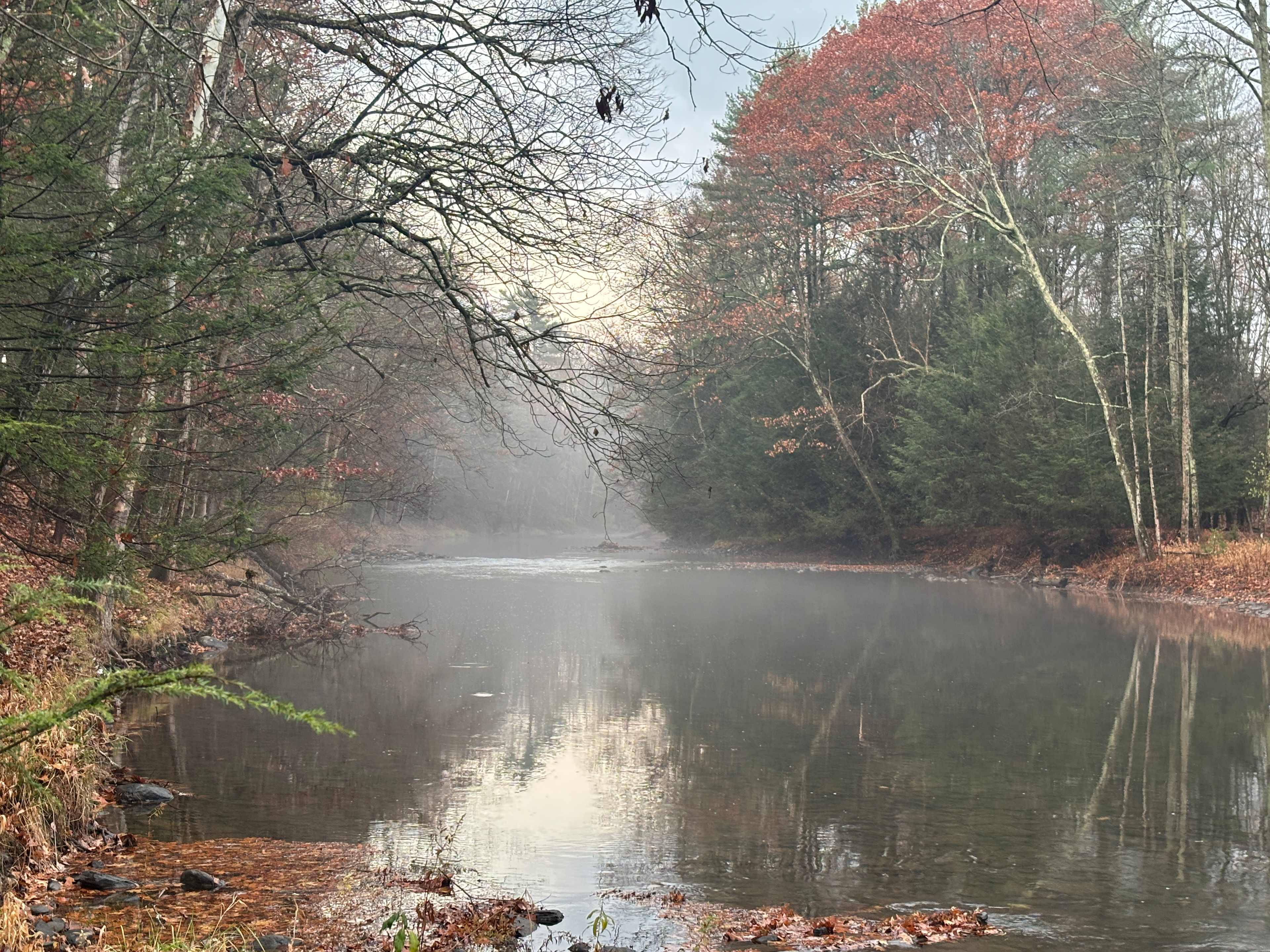 Forks Farm Campground