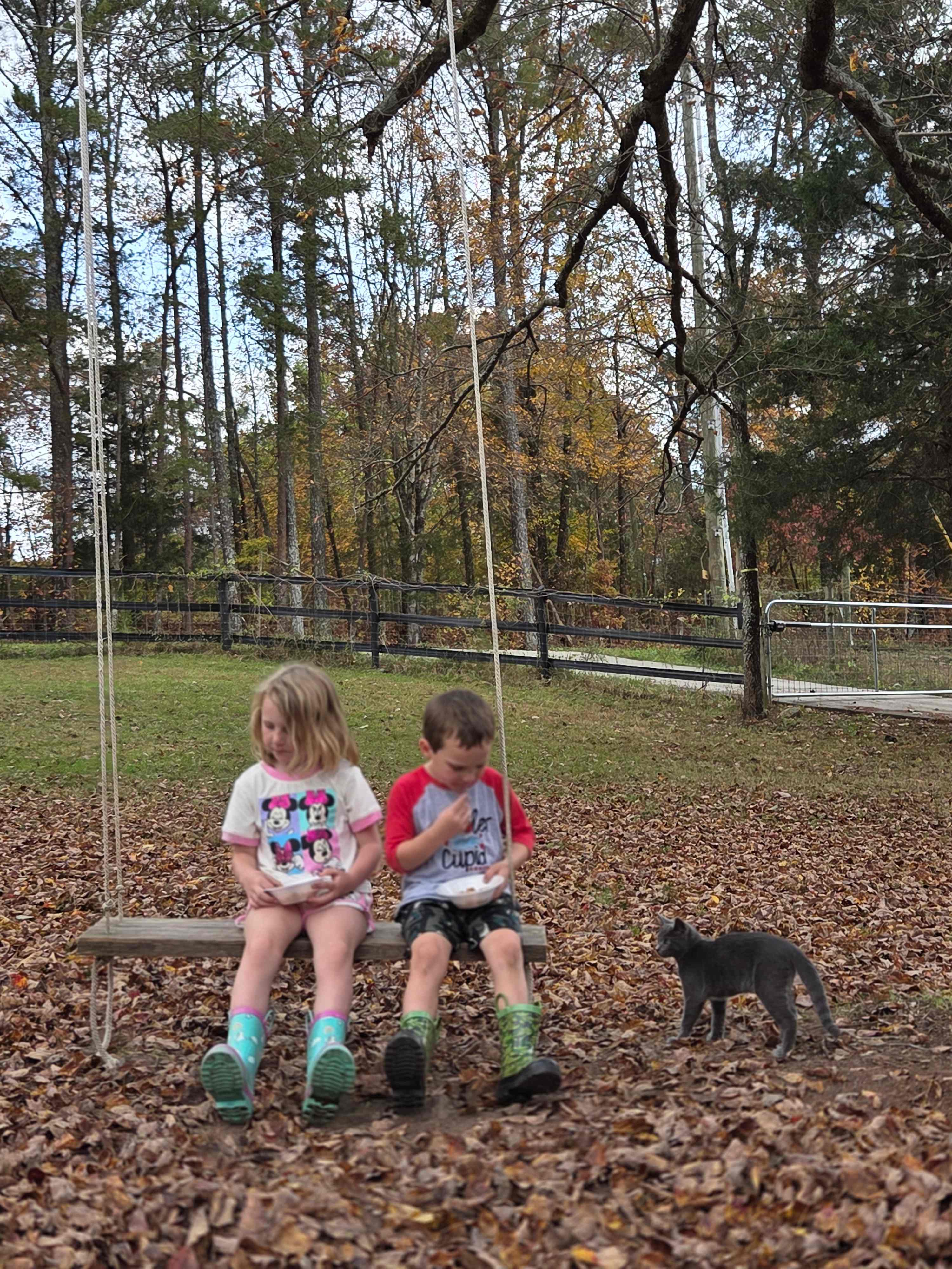 Magnolia Campground at Hixson Farms