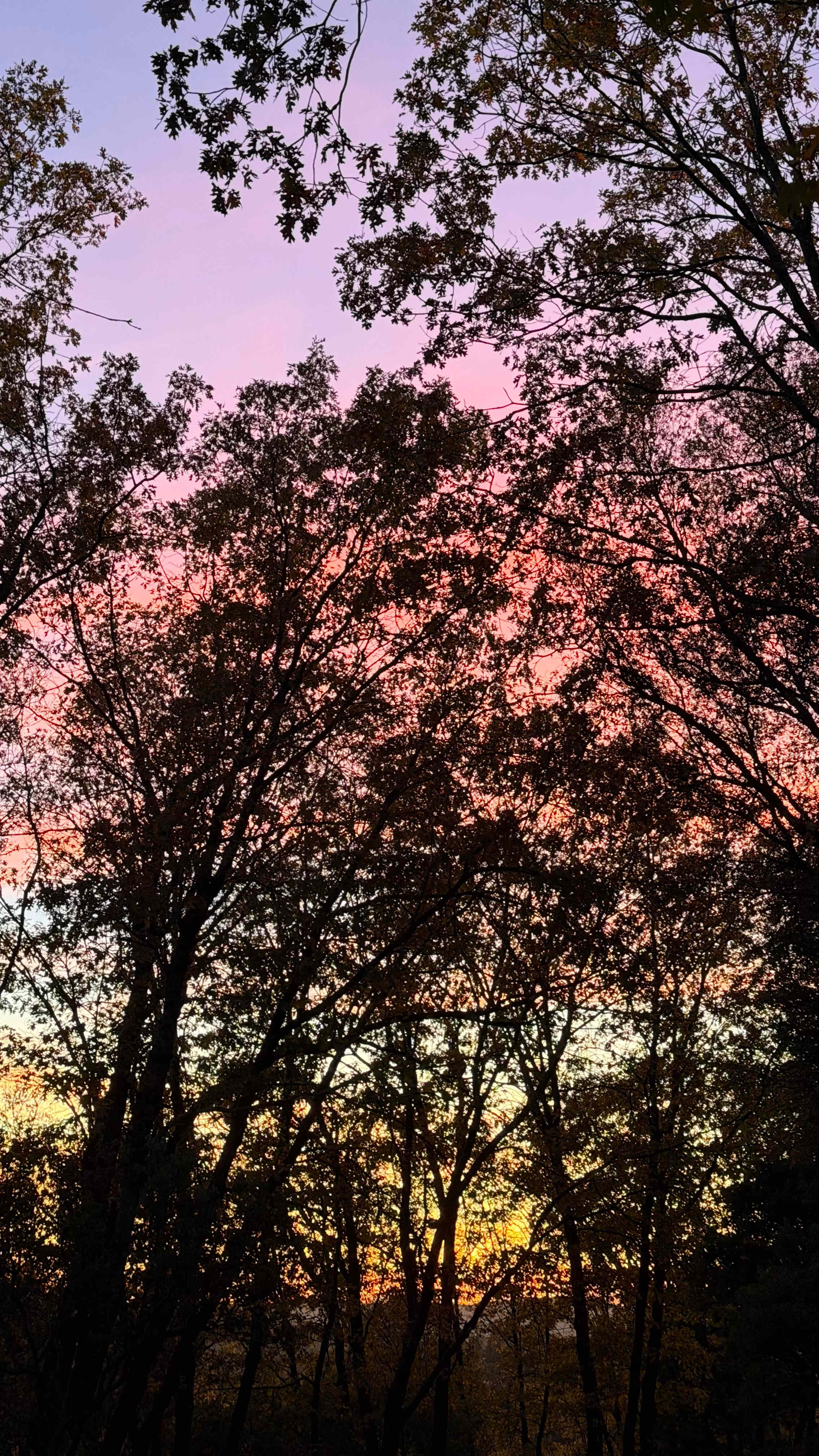 The Land: An Off-grid Refuge