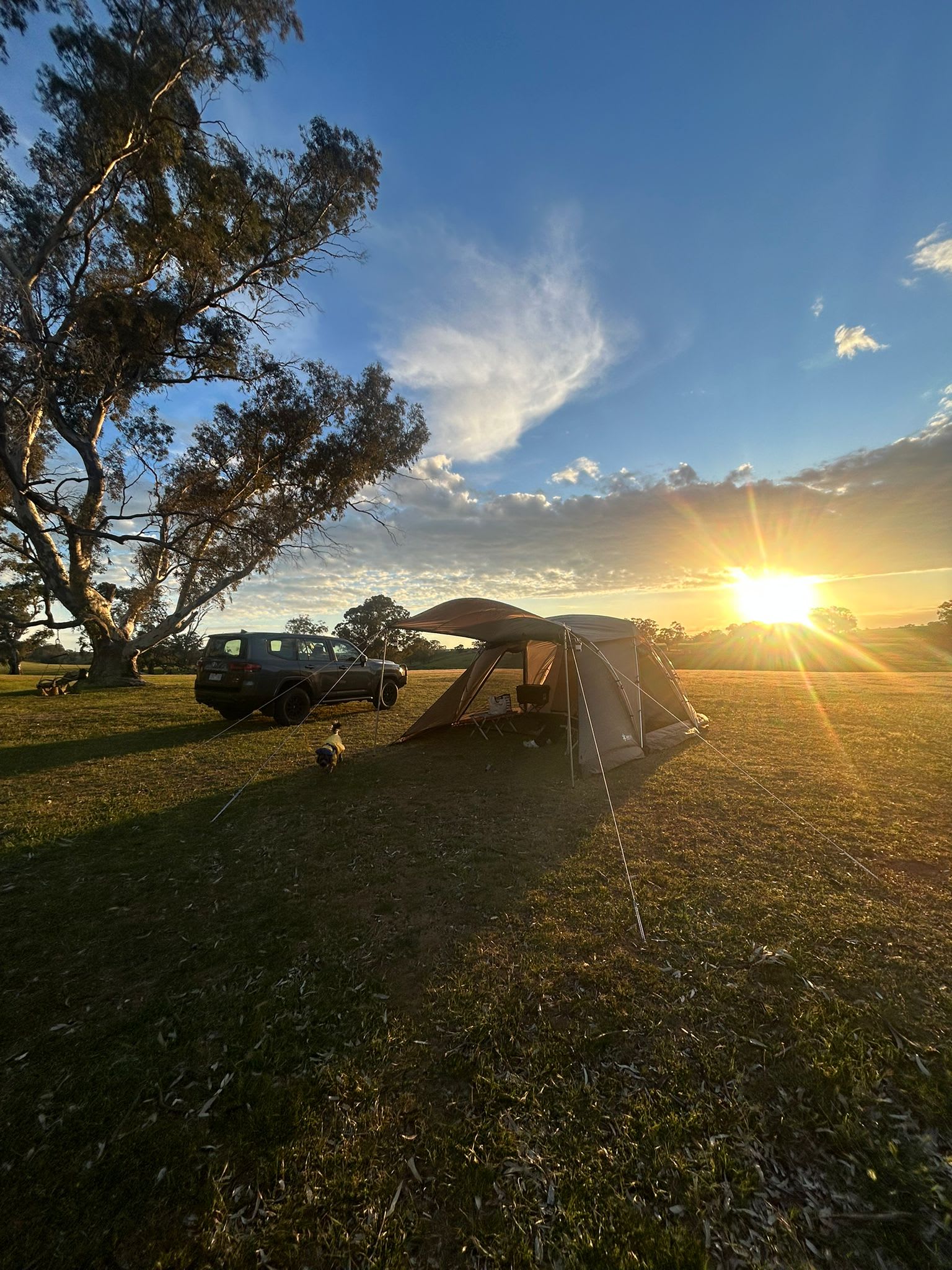 Redbank156 camping / PITCHED cabins