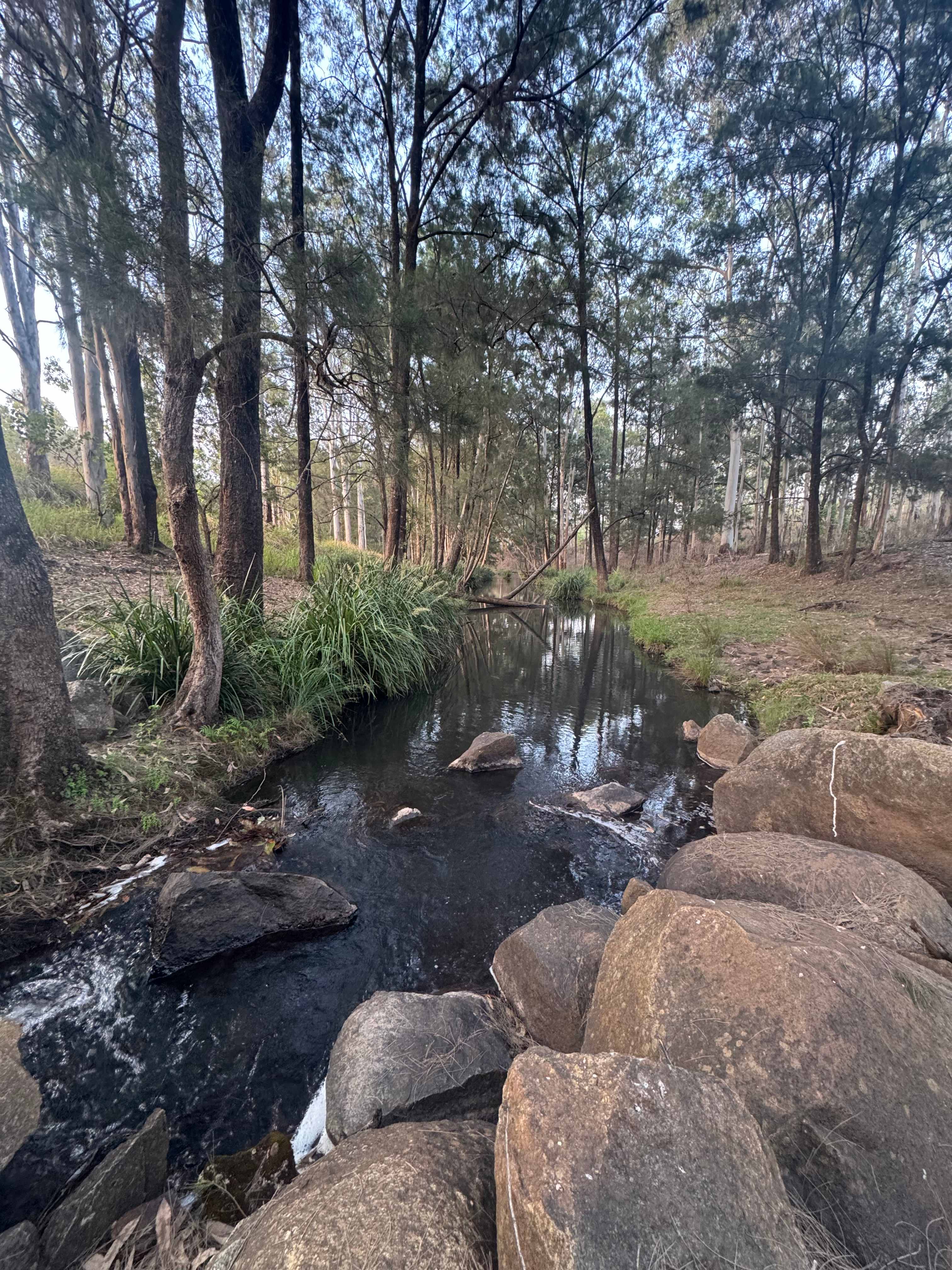 Flaggy Creek Caravan/Camping