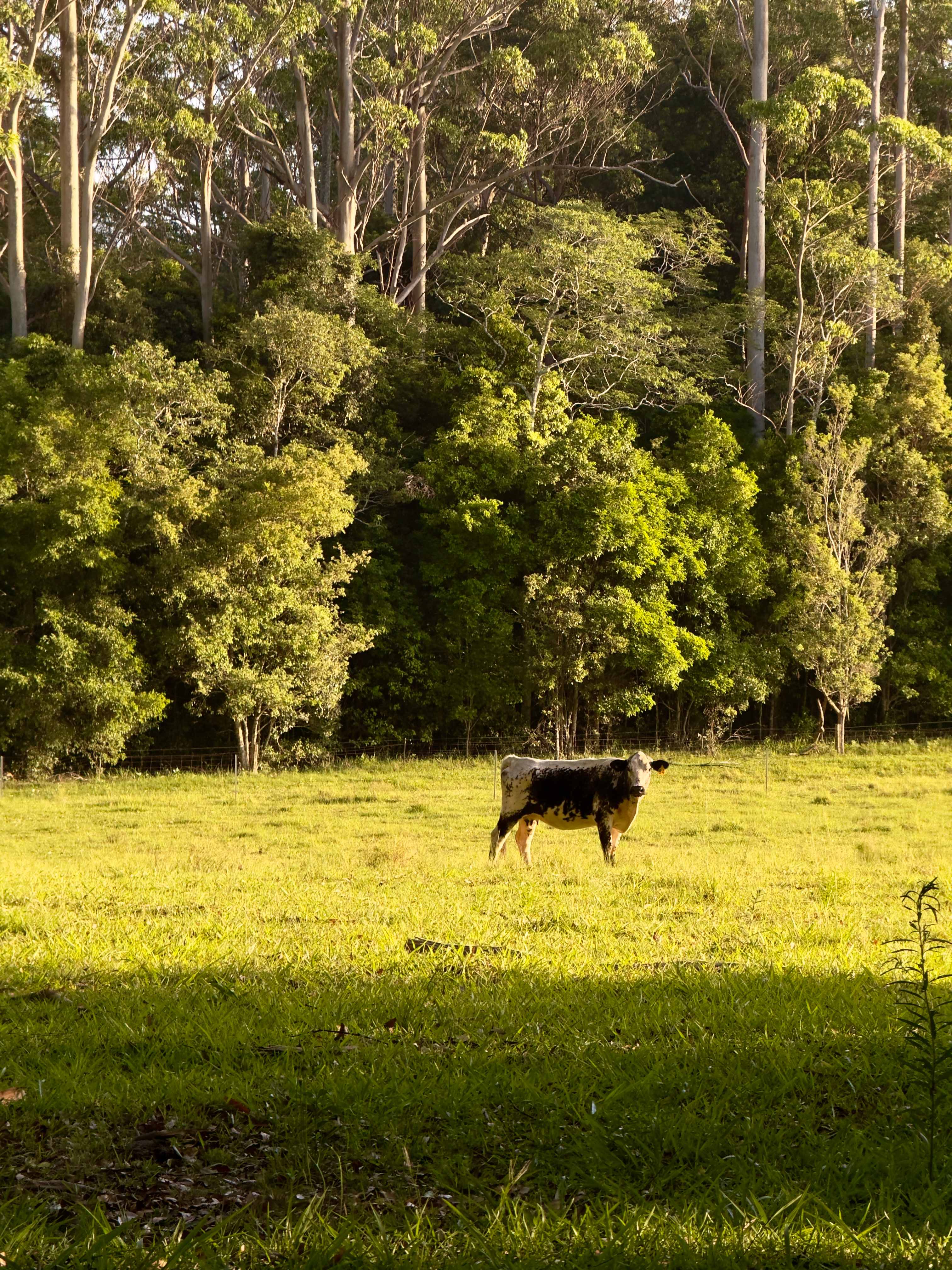 Bonville Camp Ground