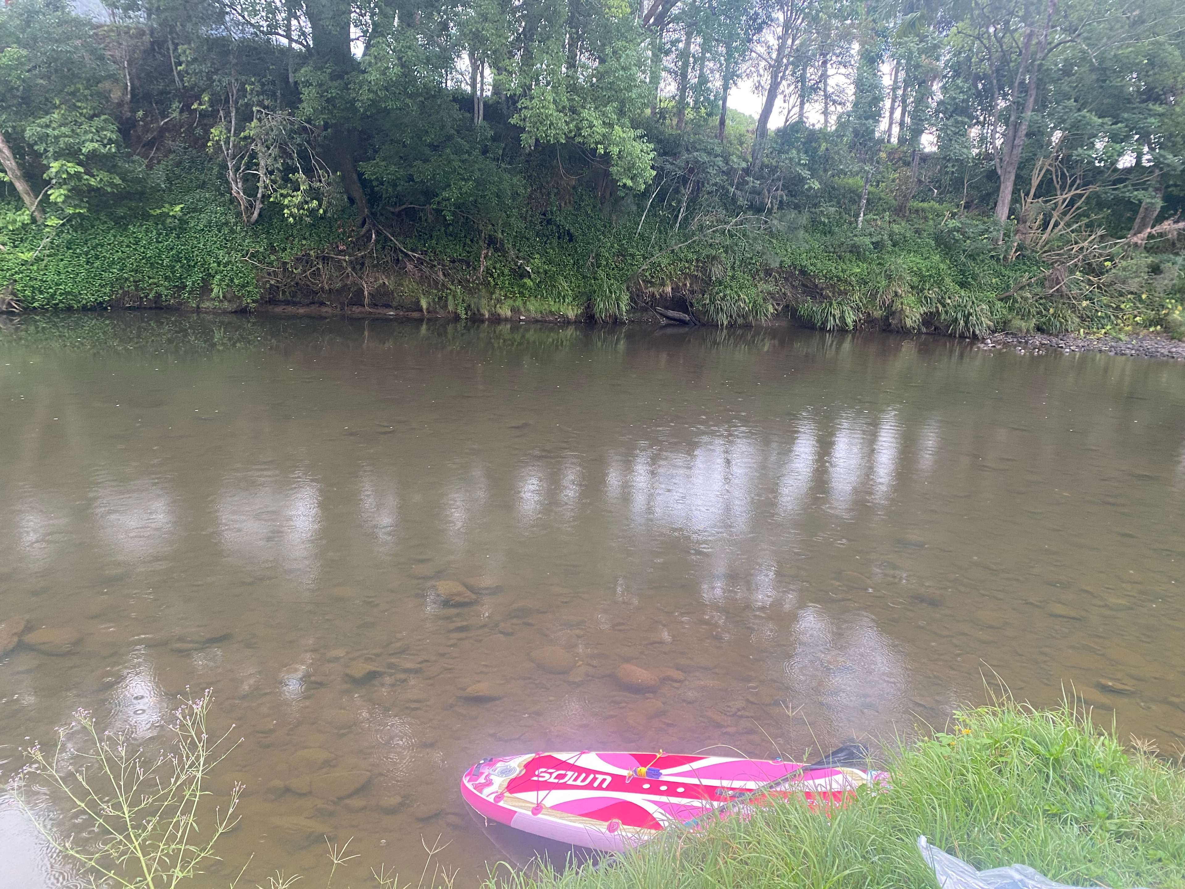McKenzies Mountain, Wollumbin