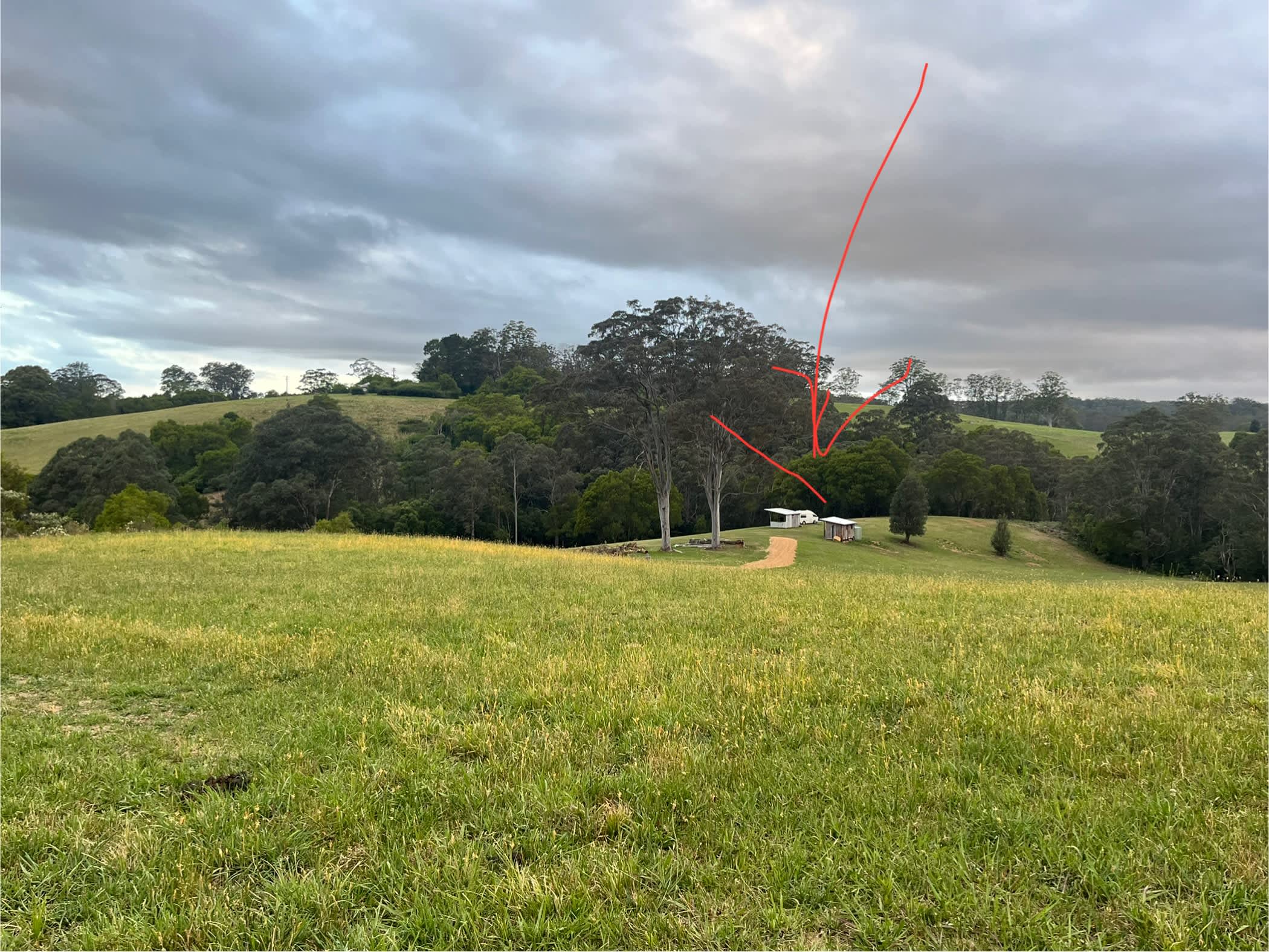 Homeville Camping and Farm Stay