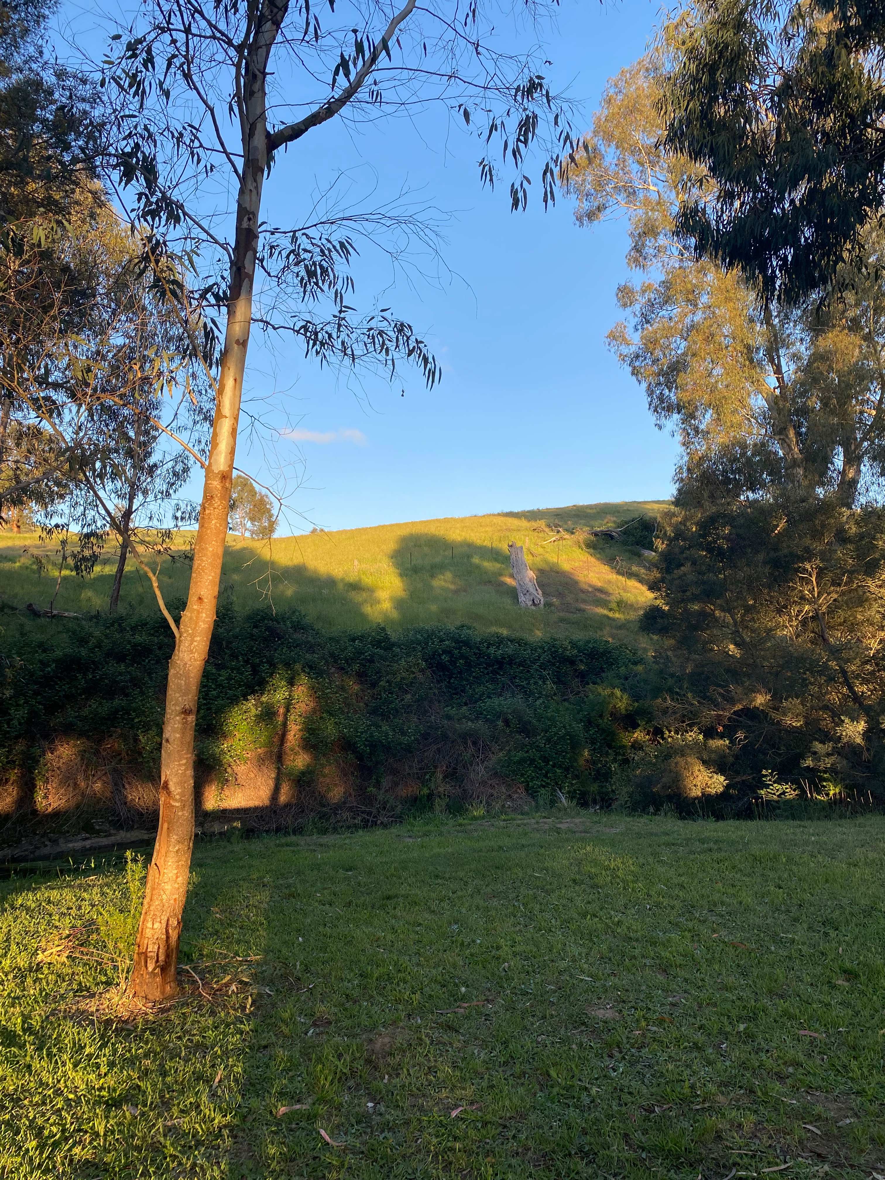 Strath Creek Station