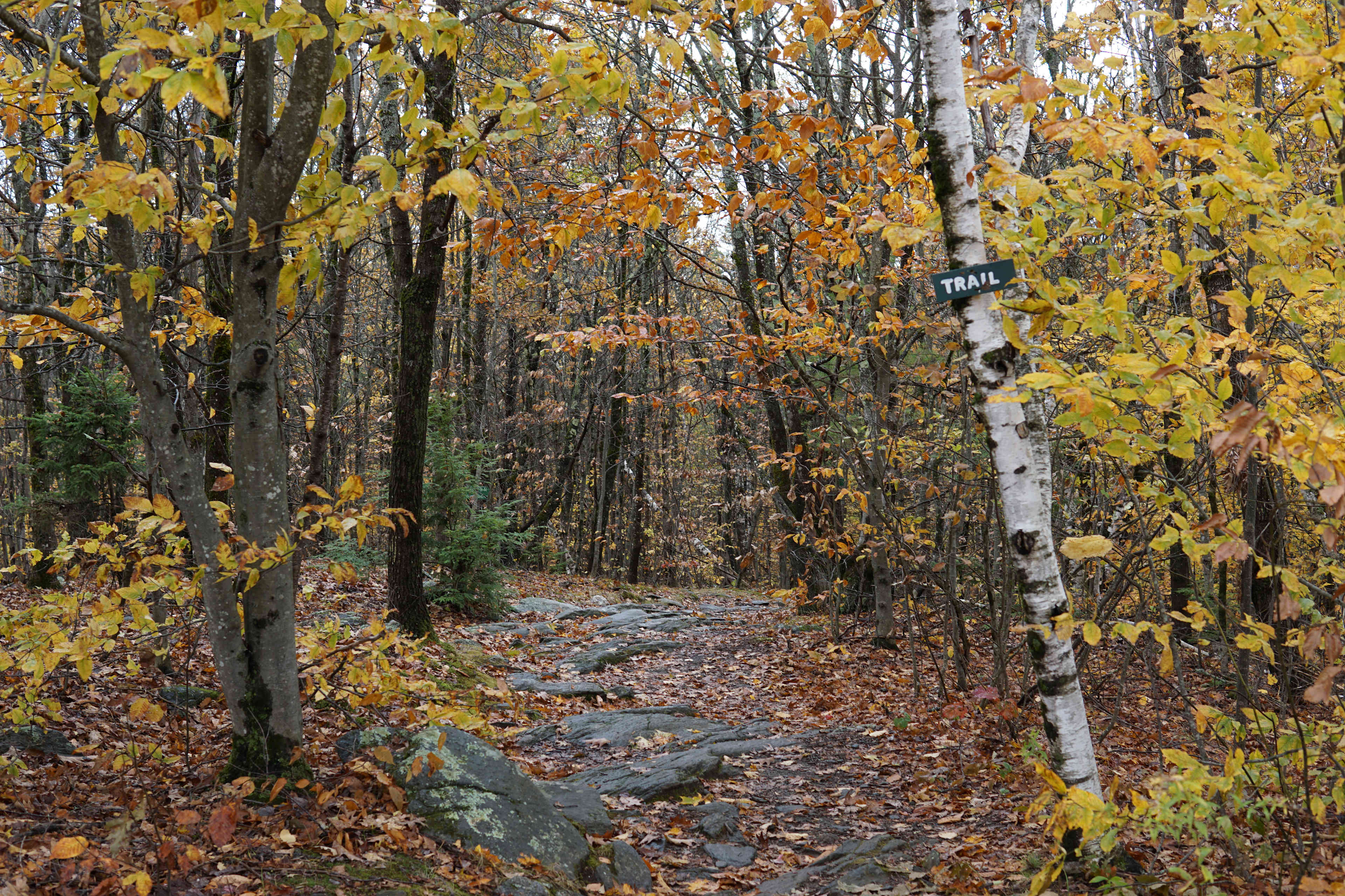 Red Gate Farm/ DuGrenier Glass Art