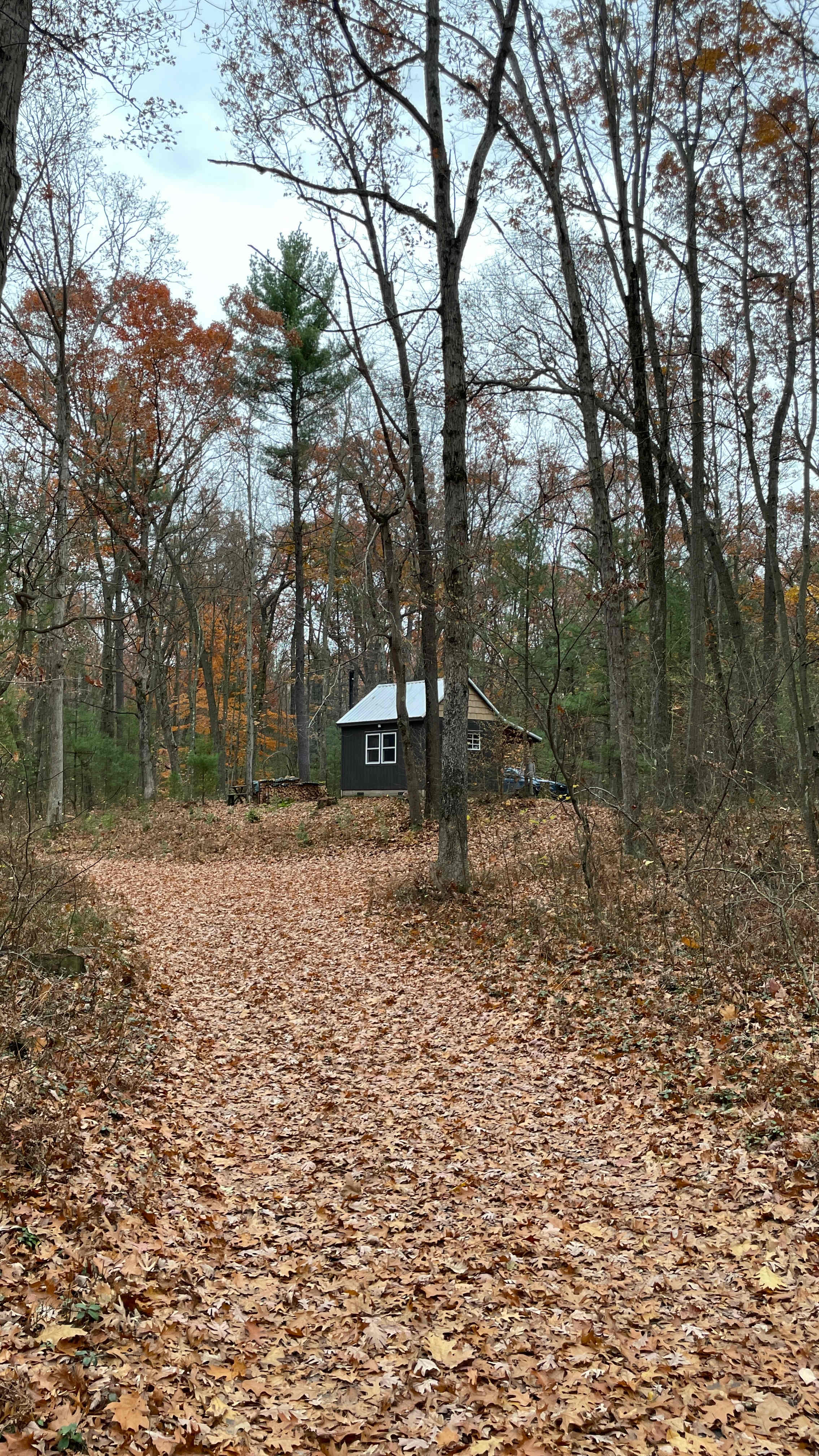 Dalton Traders  Tents  RV's  Cabins