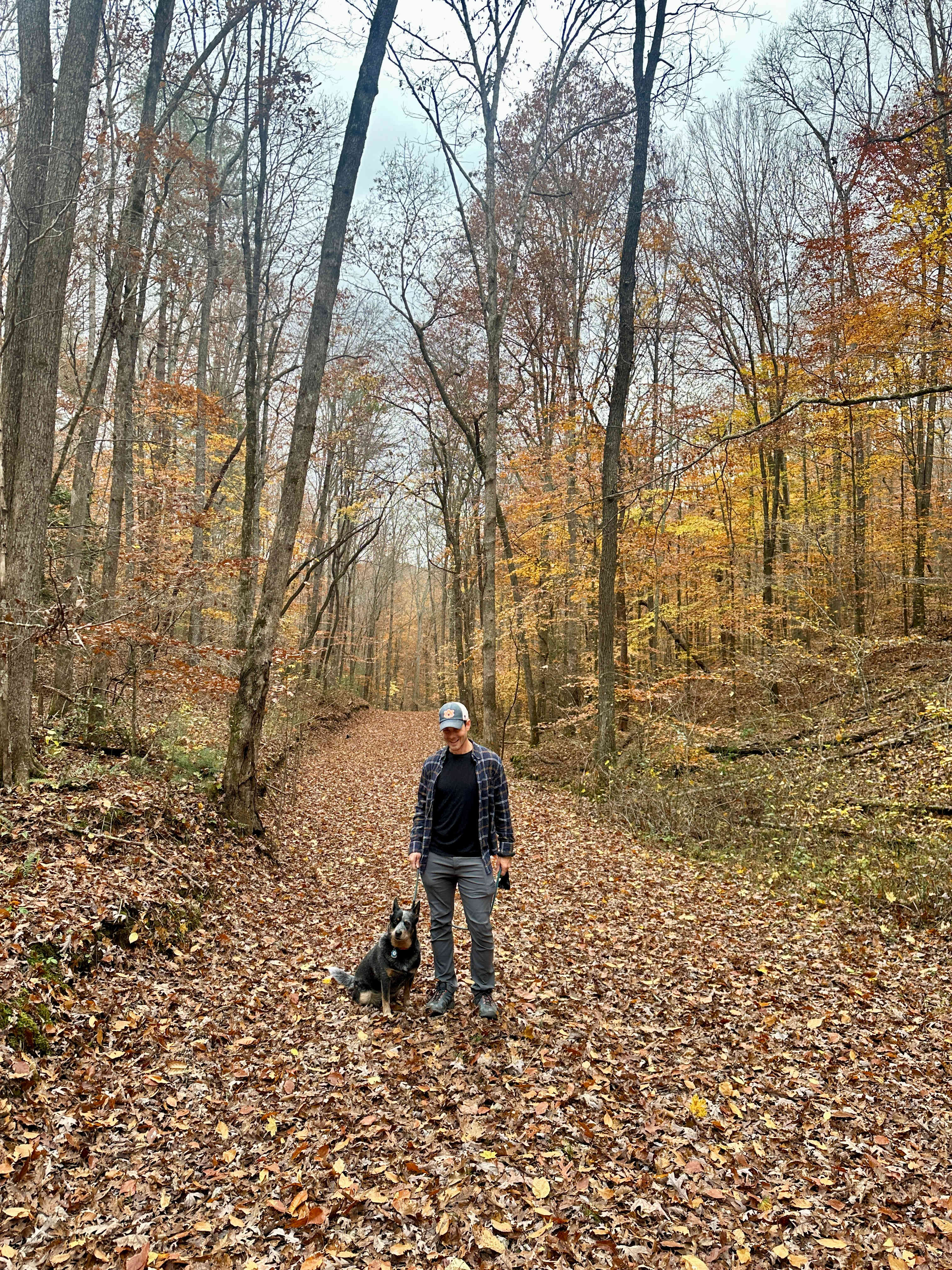 Sutton Camping & Cabin Rentals