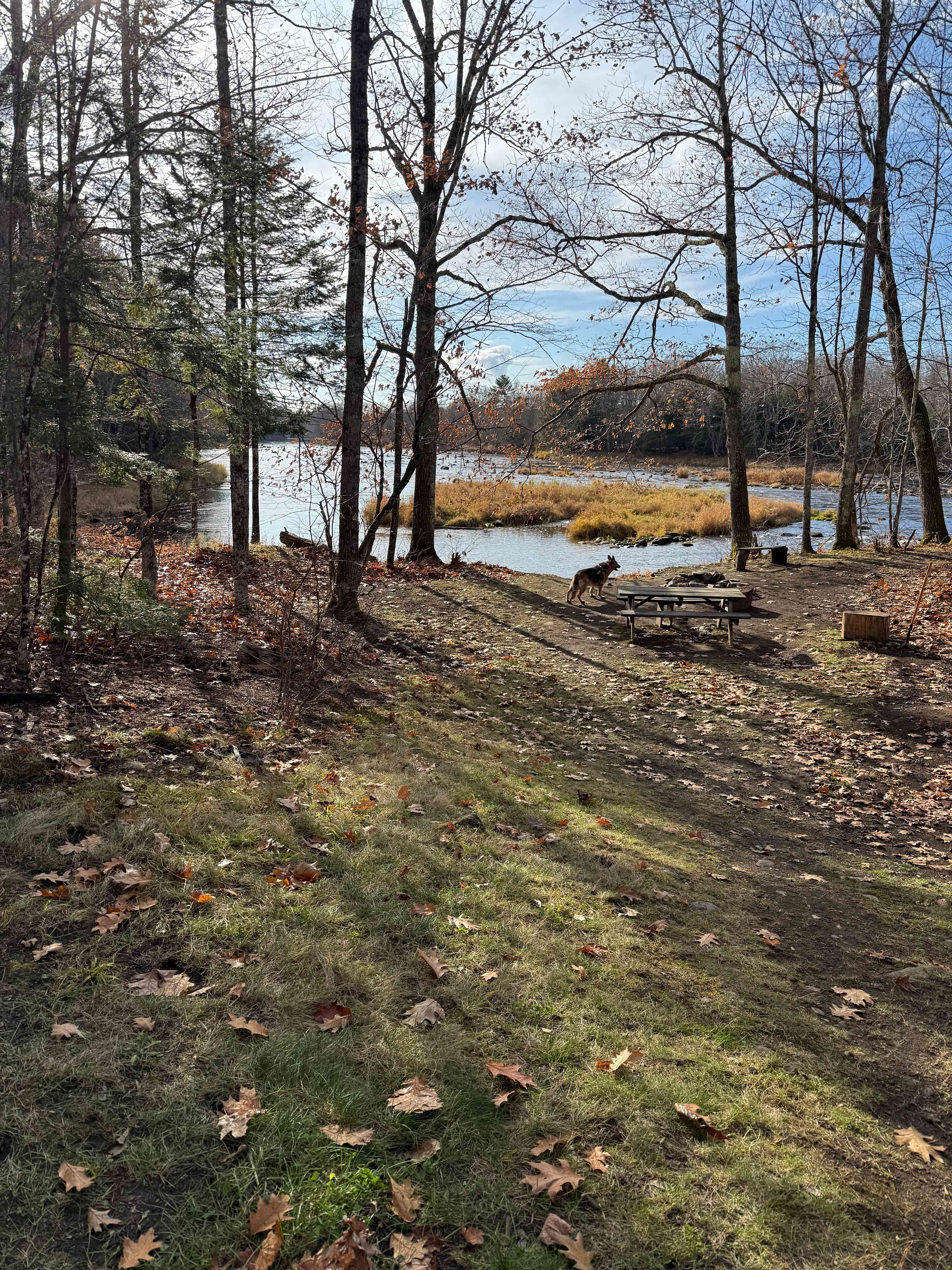 River Run Eco-Friendly Cabins/ camp