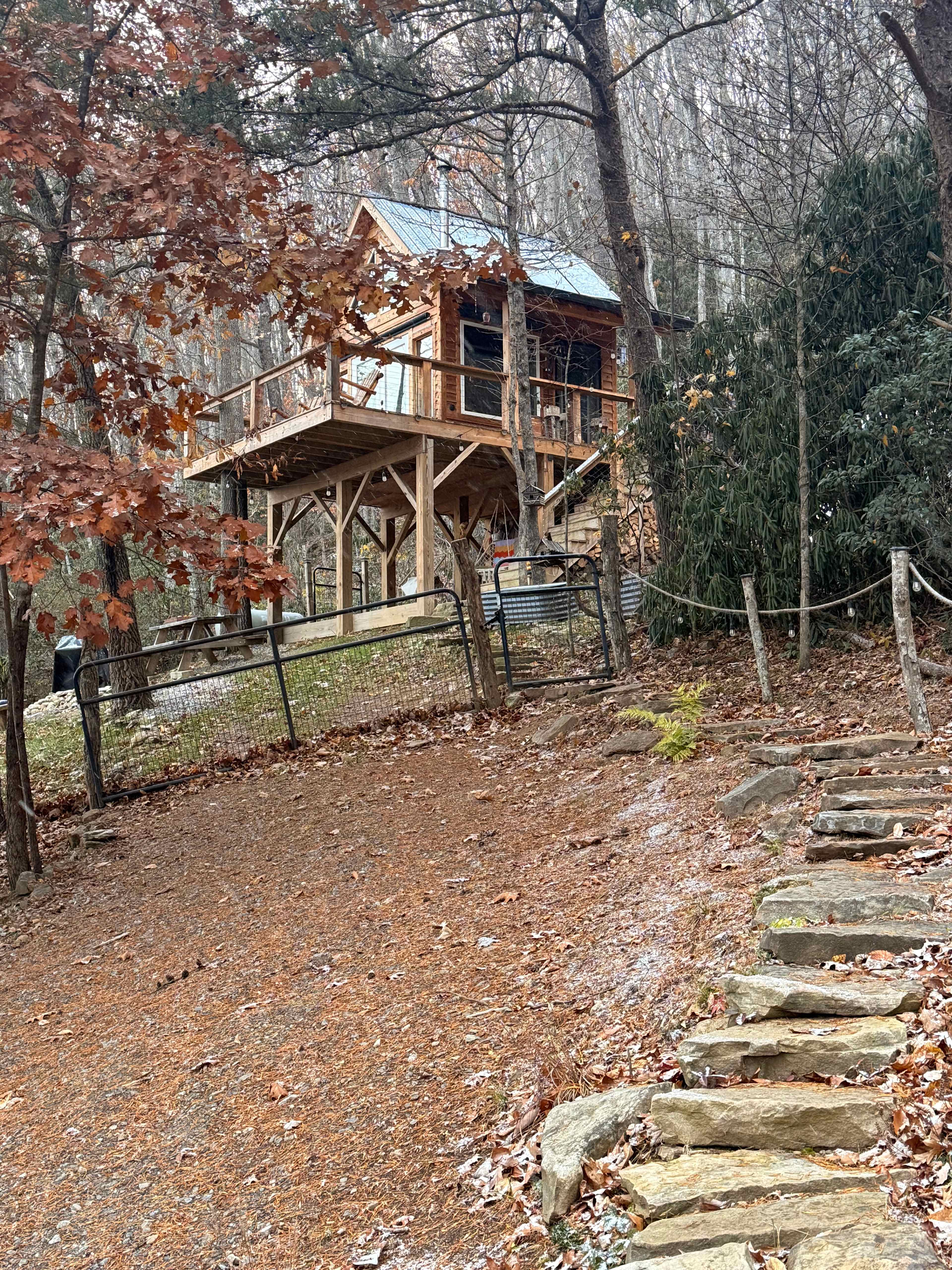 Highland Cow Off-Grid Treehouse