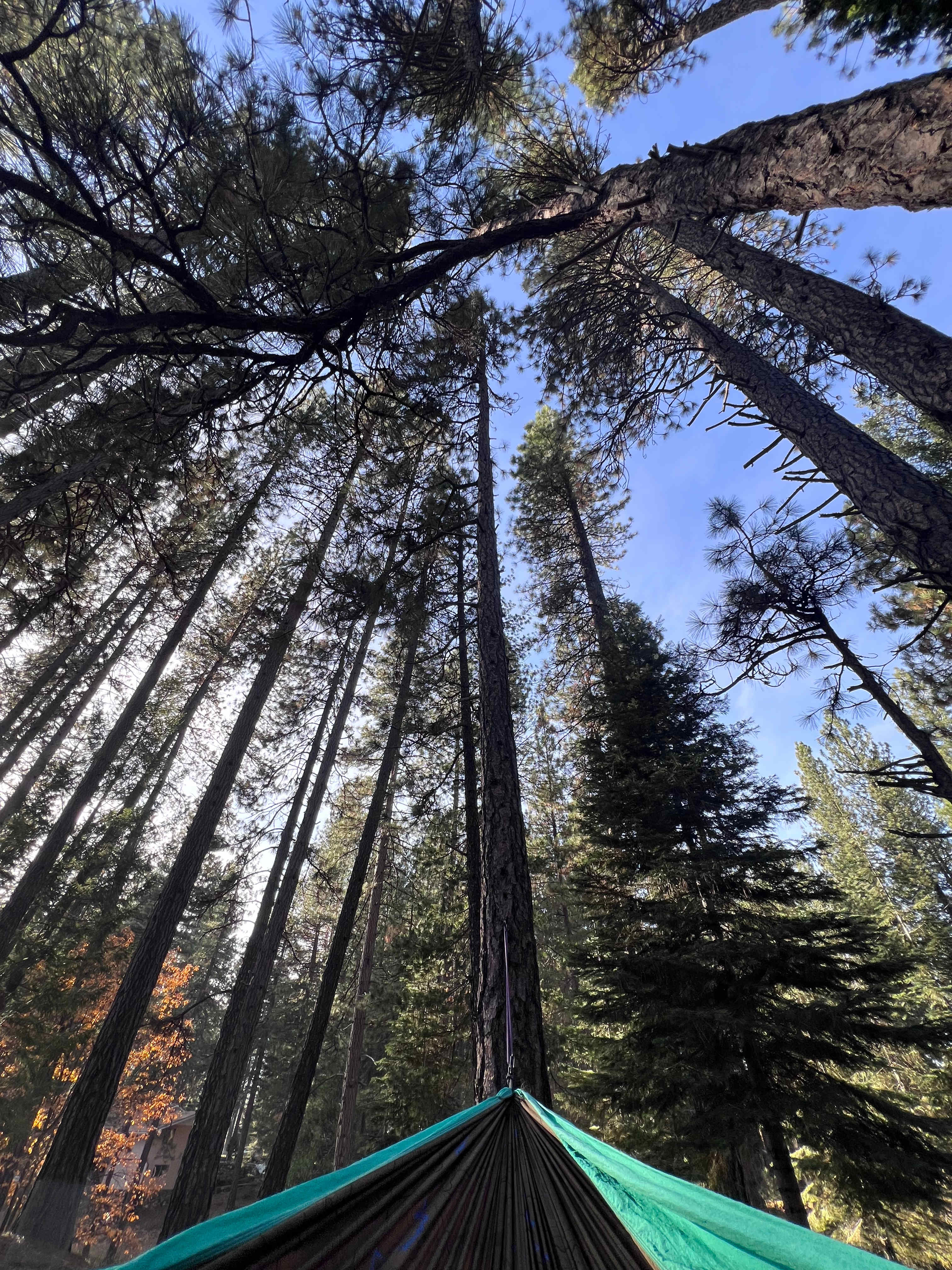 Darla set up a hammock! I fell asleep