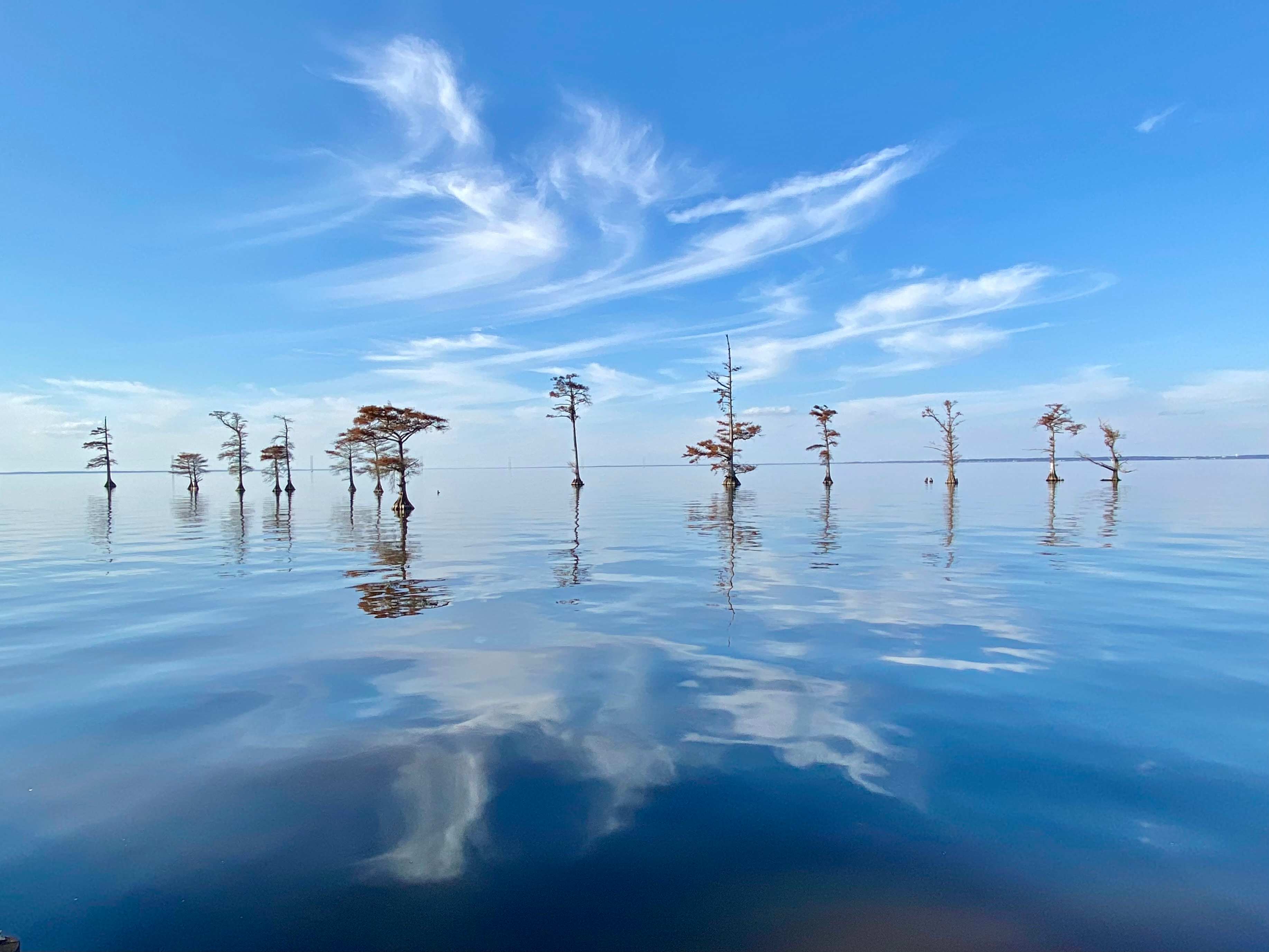 Spruill Conservation Farm