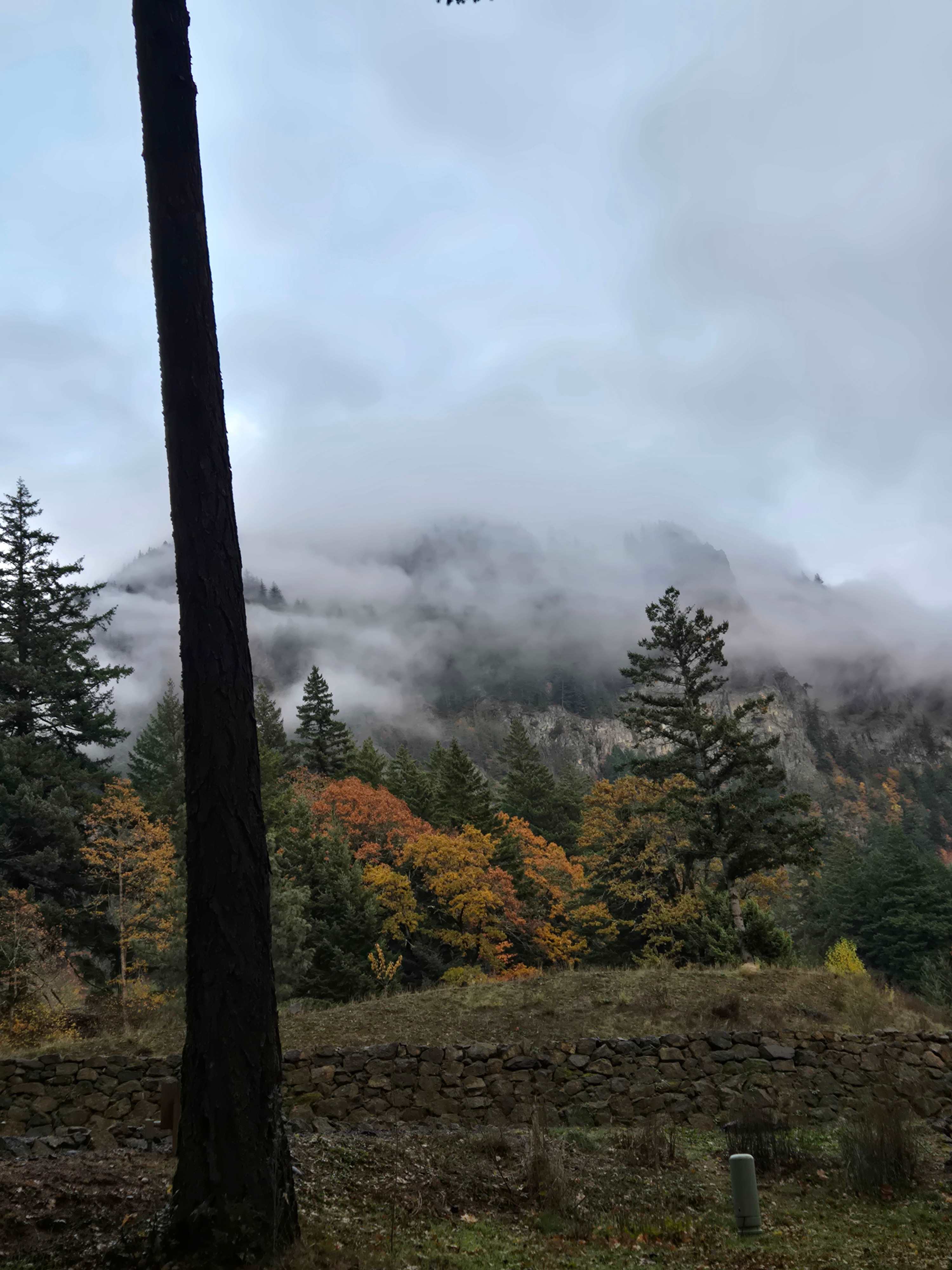 Dog and Wind Mountain RV Park