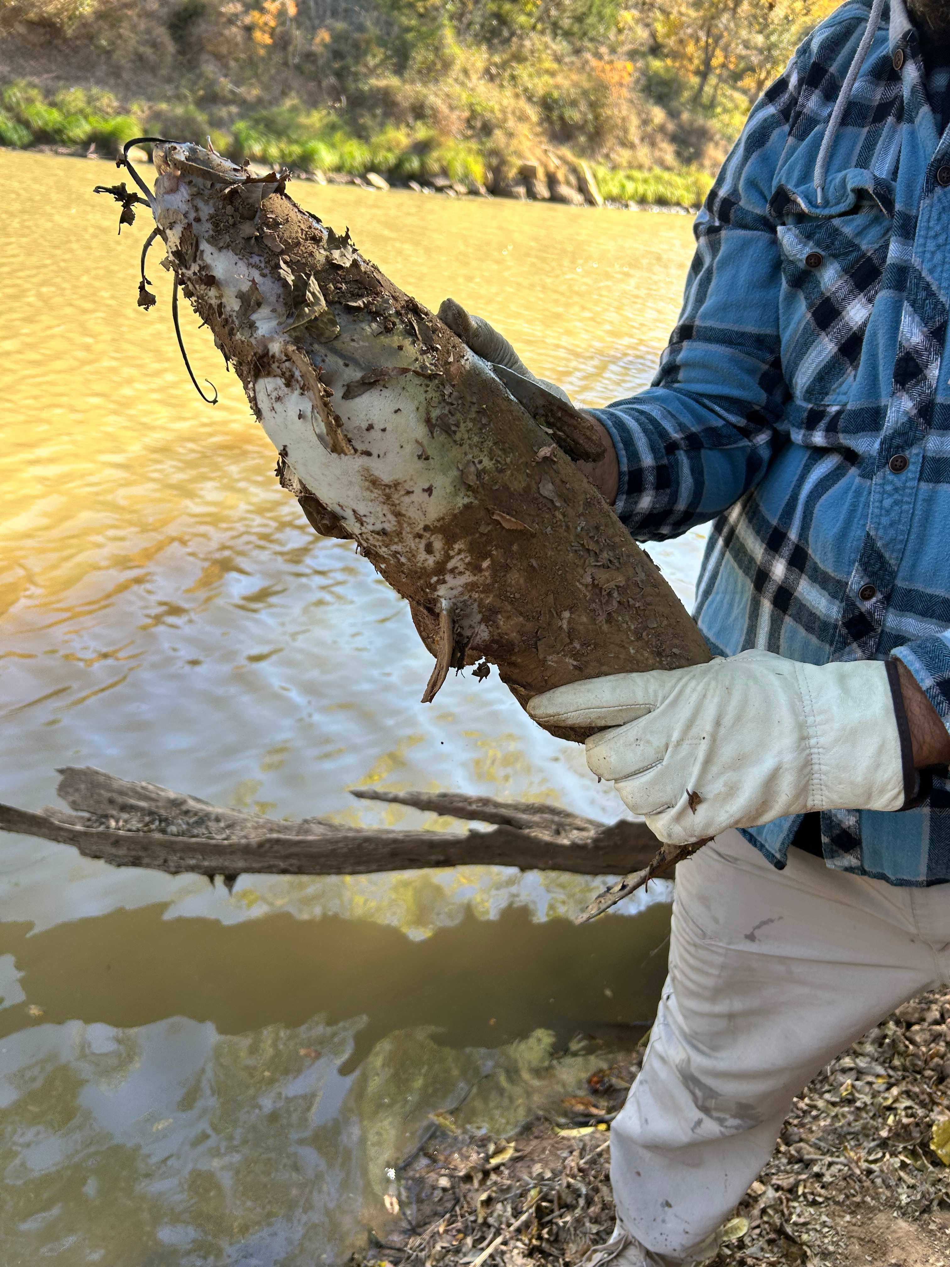 Historic Texas Ranch 1000 acres
