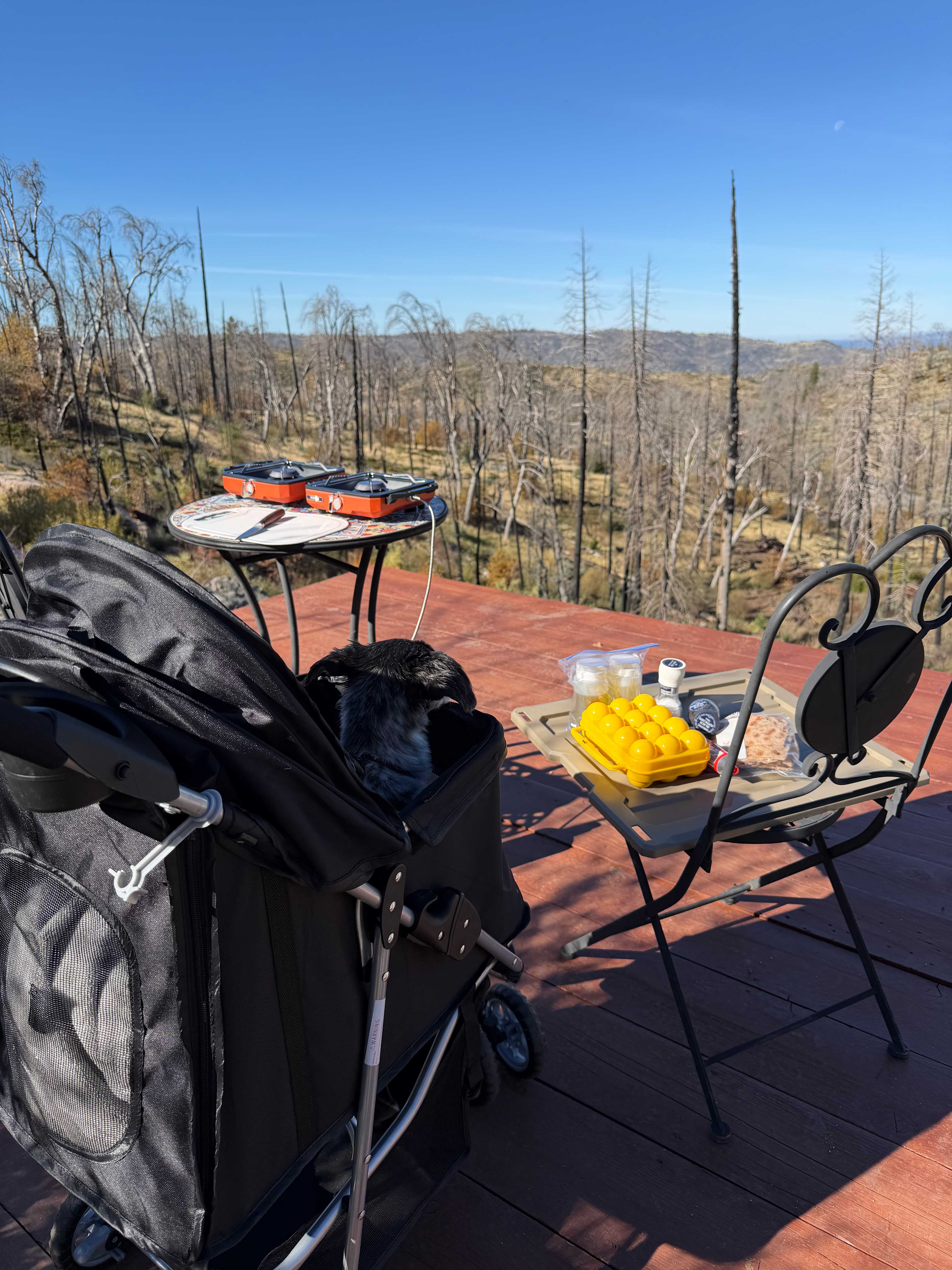 Musick Creek Falls by Shaver Lake