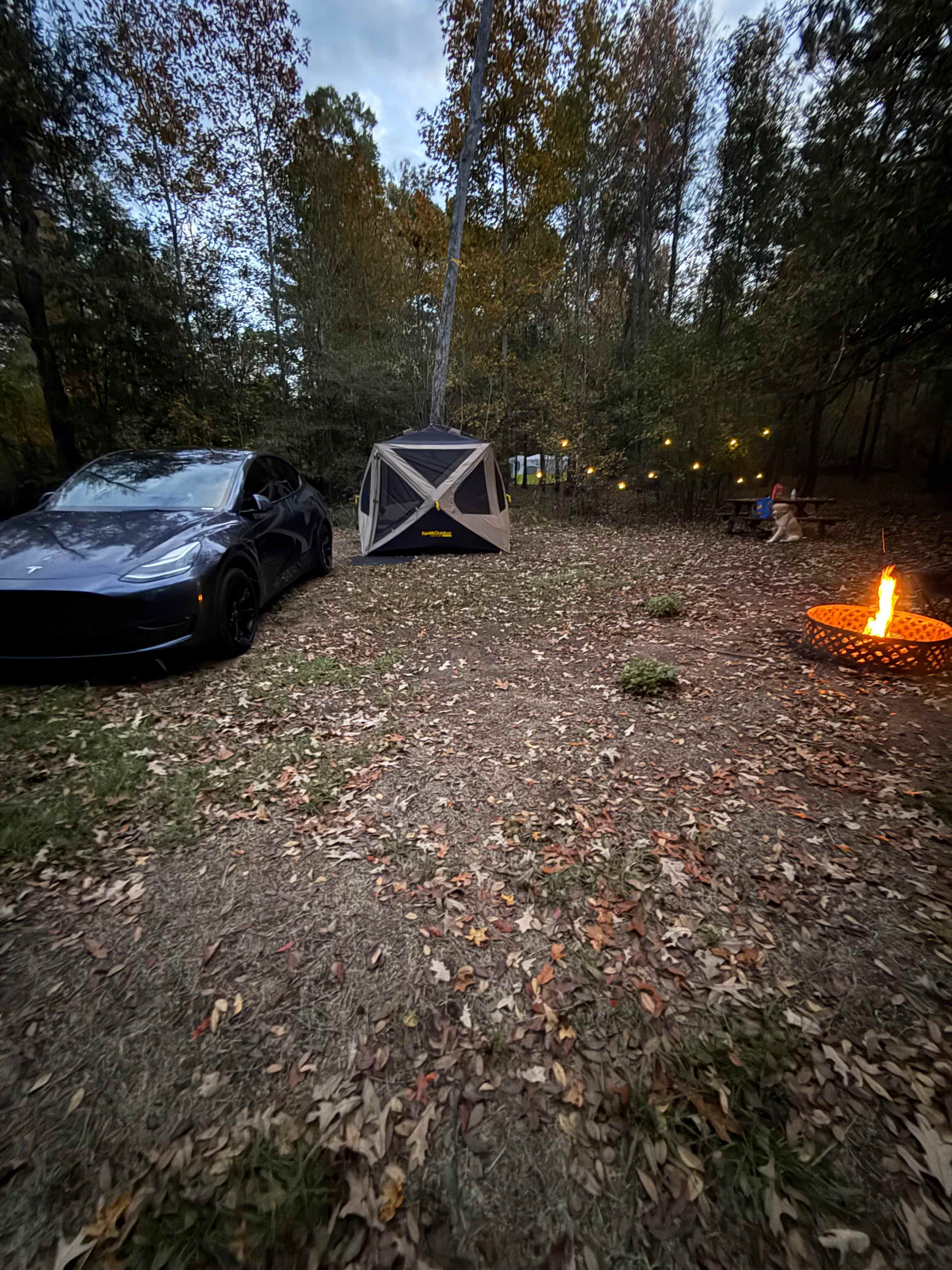 River Island Venture Resort