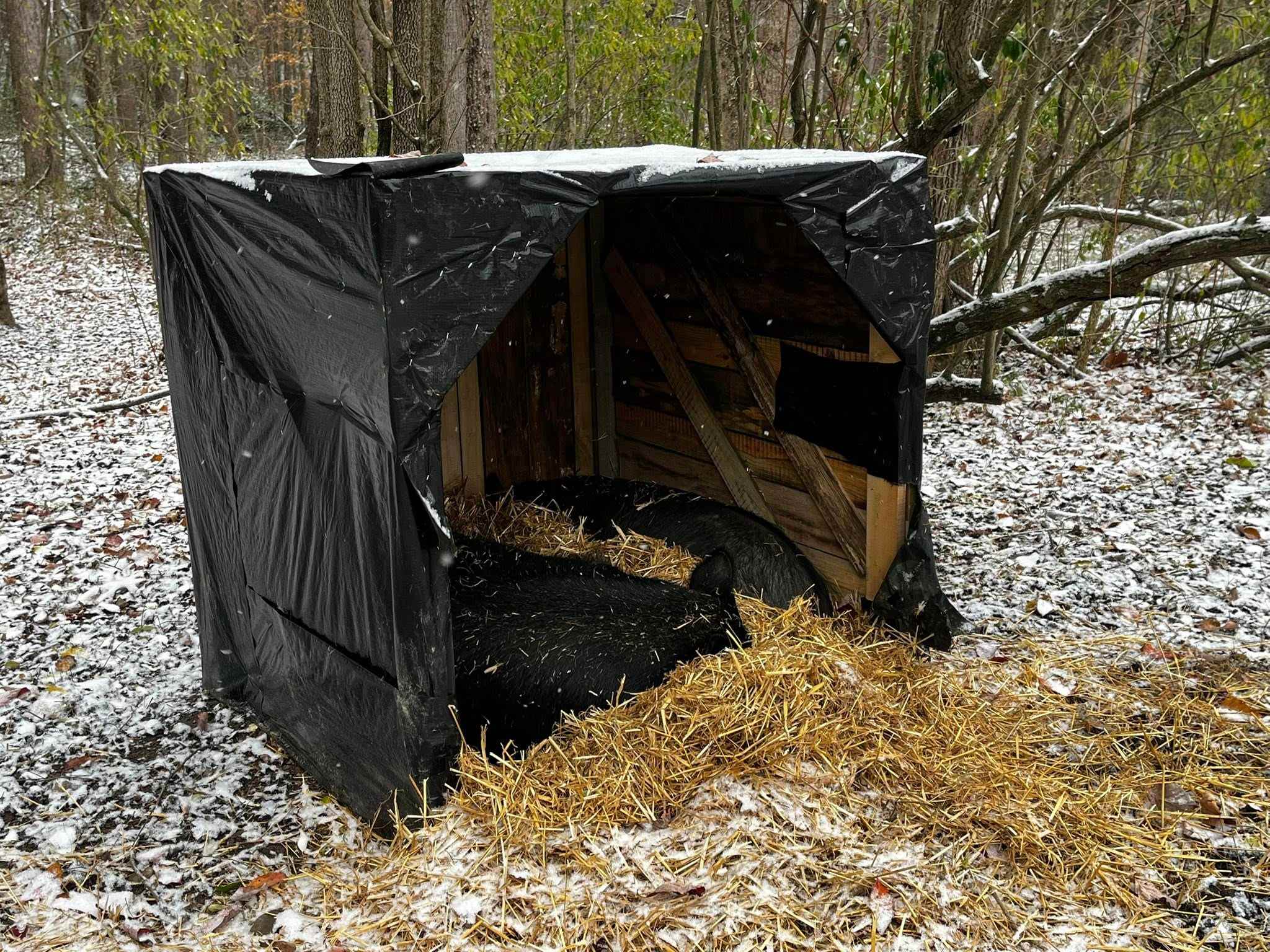 Happy Hollow Homestead