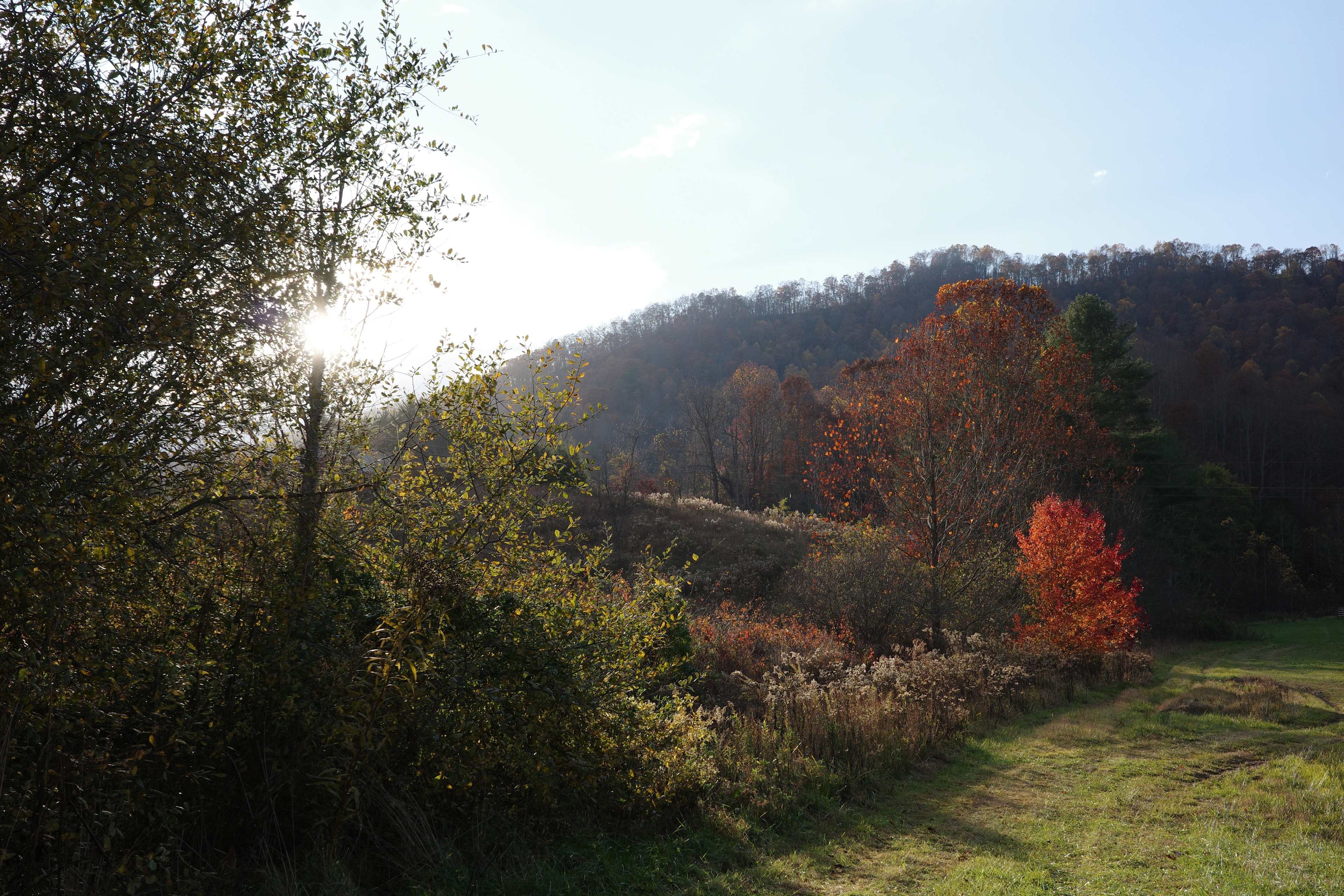 Turkey Creek Oasis~valley views