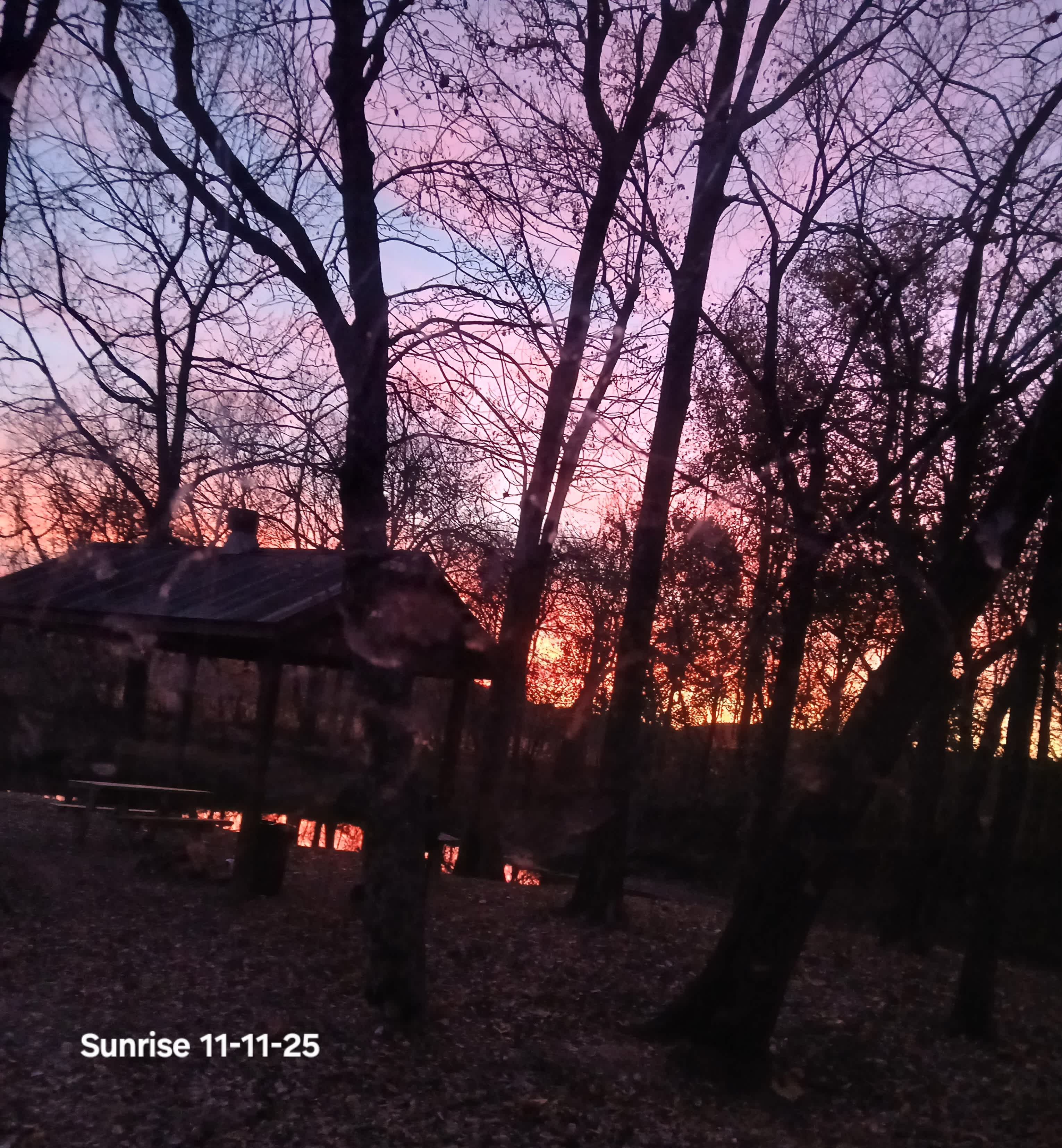 Buehler Farms Glamp site 1