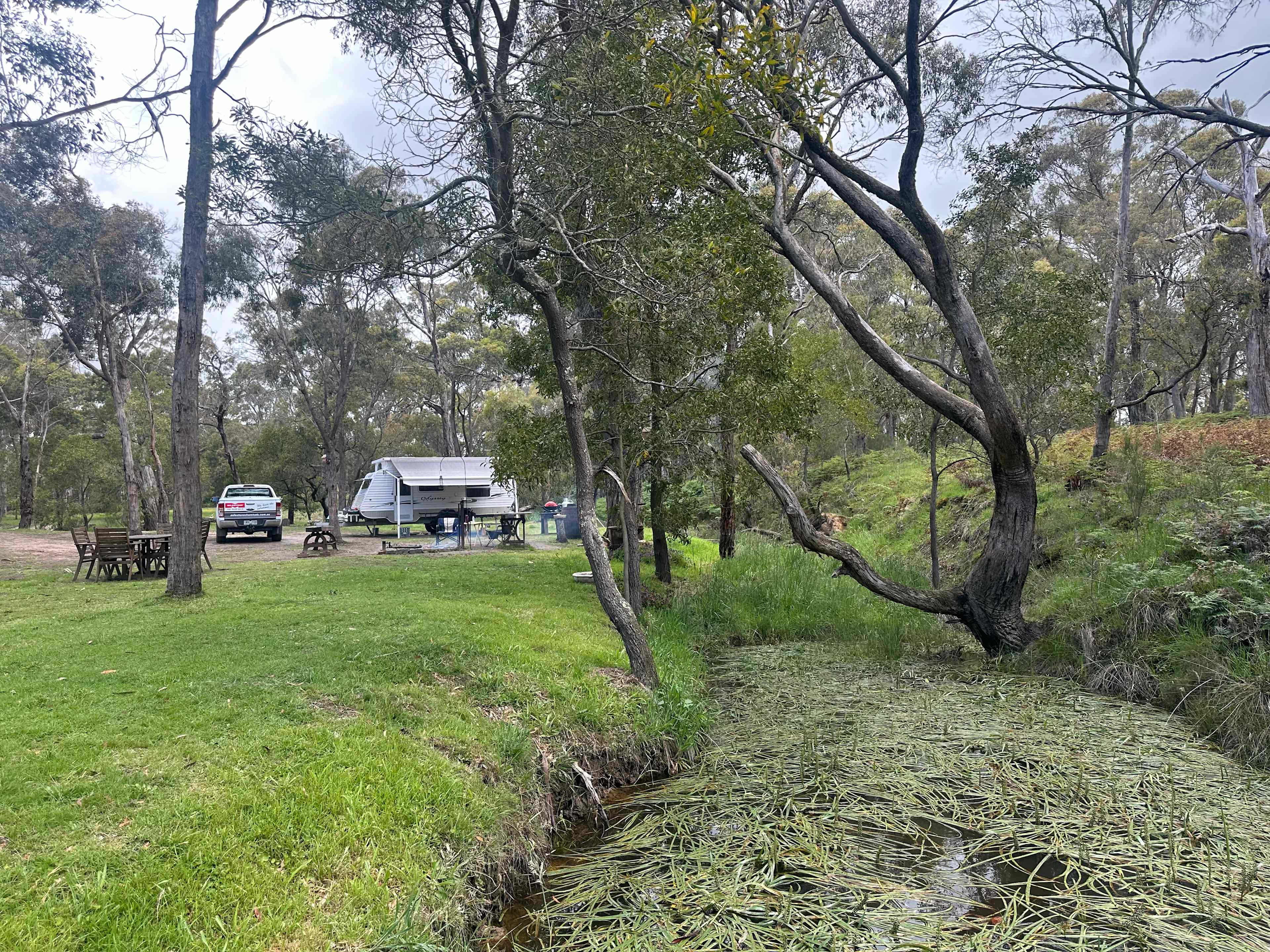 Penzance Bushland Retreat
