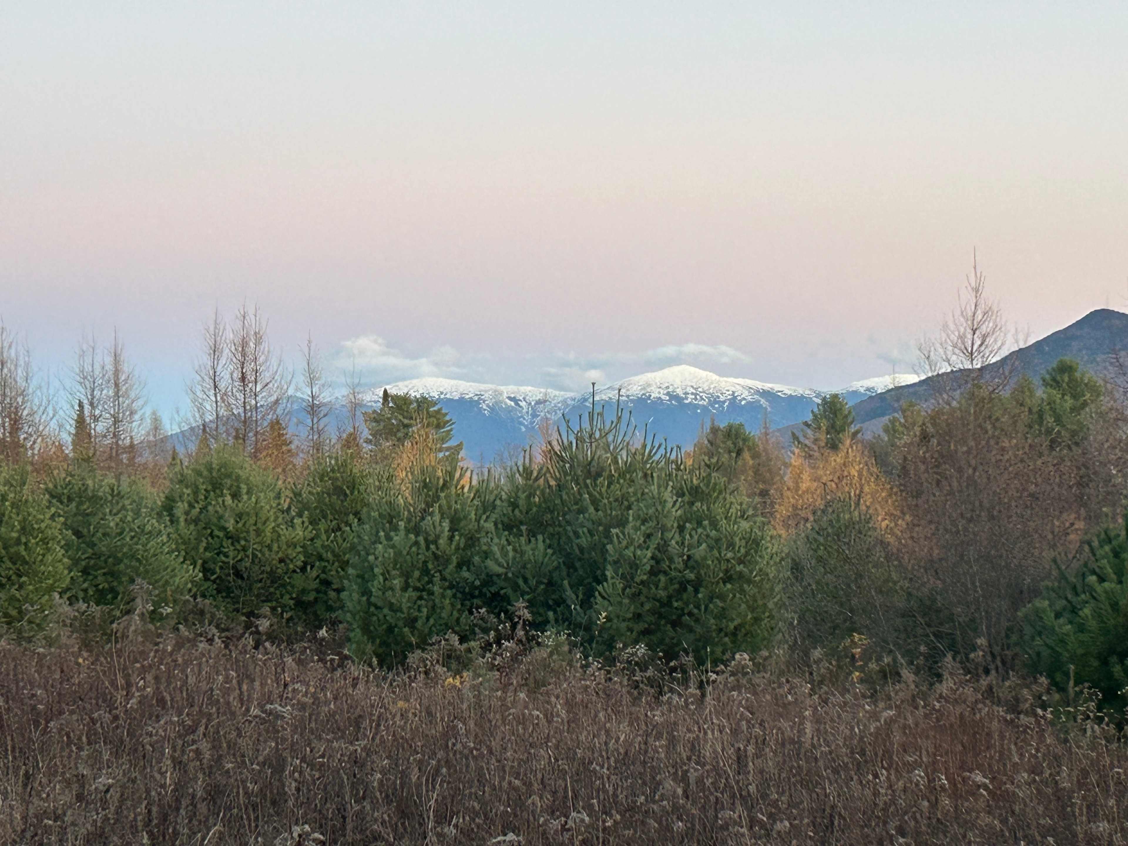 Mt Adams and Mt Jefferson