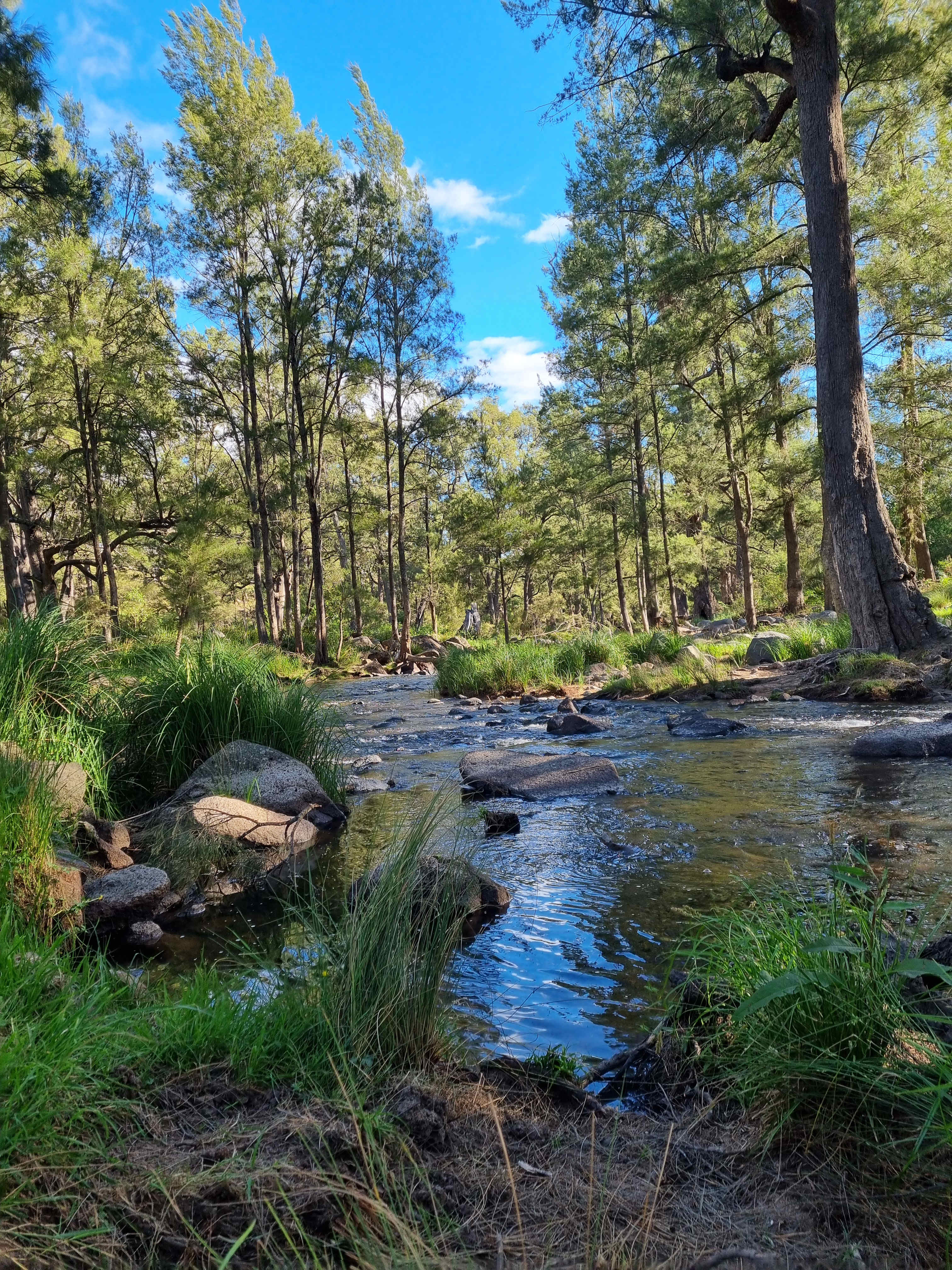 Beautiful Coxs River