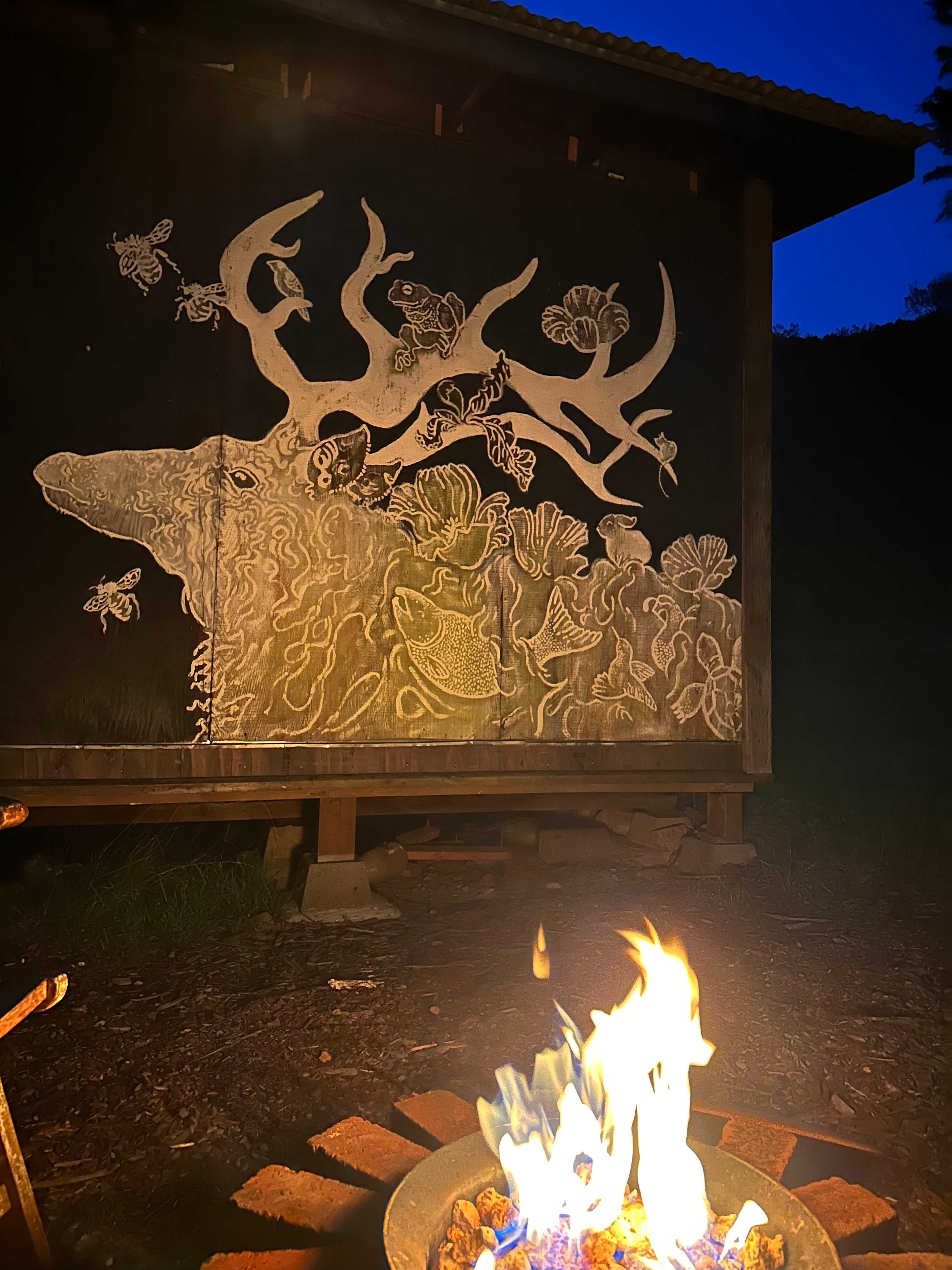 Meadow camping in Bolinas