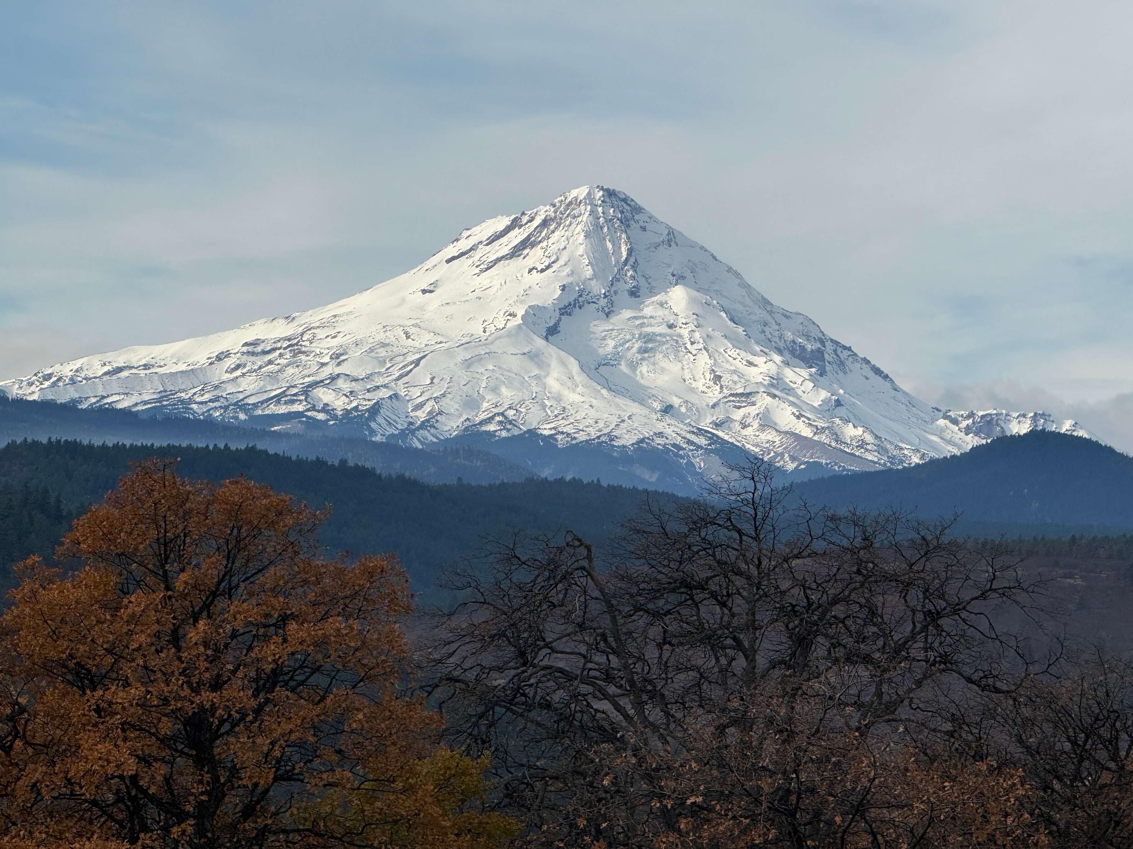 Mt. Hood from Property