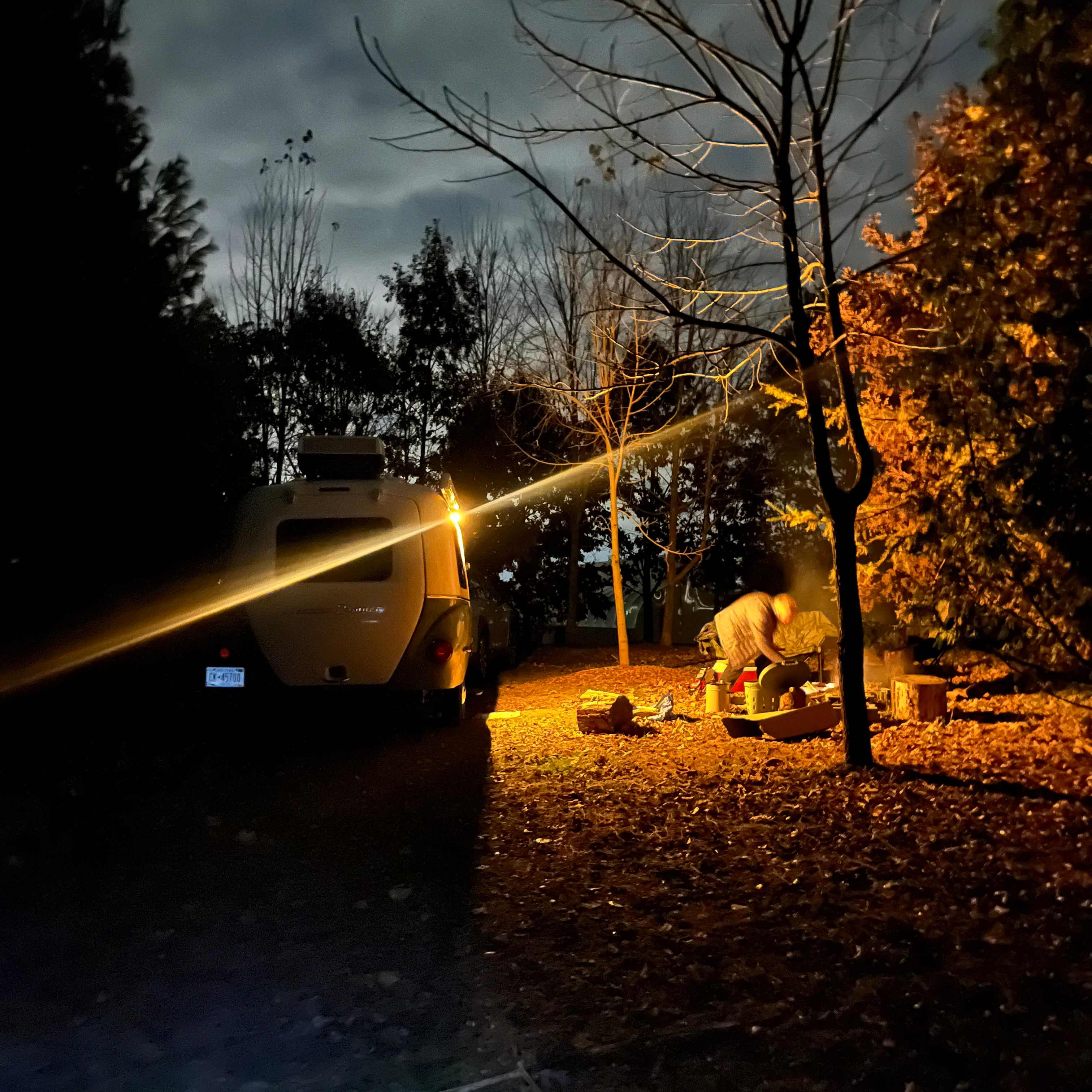 Terra Growers Organic Farm