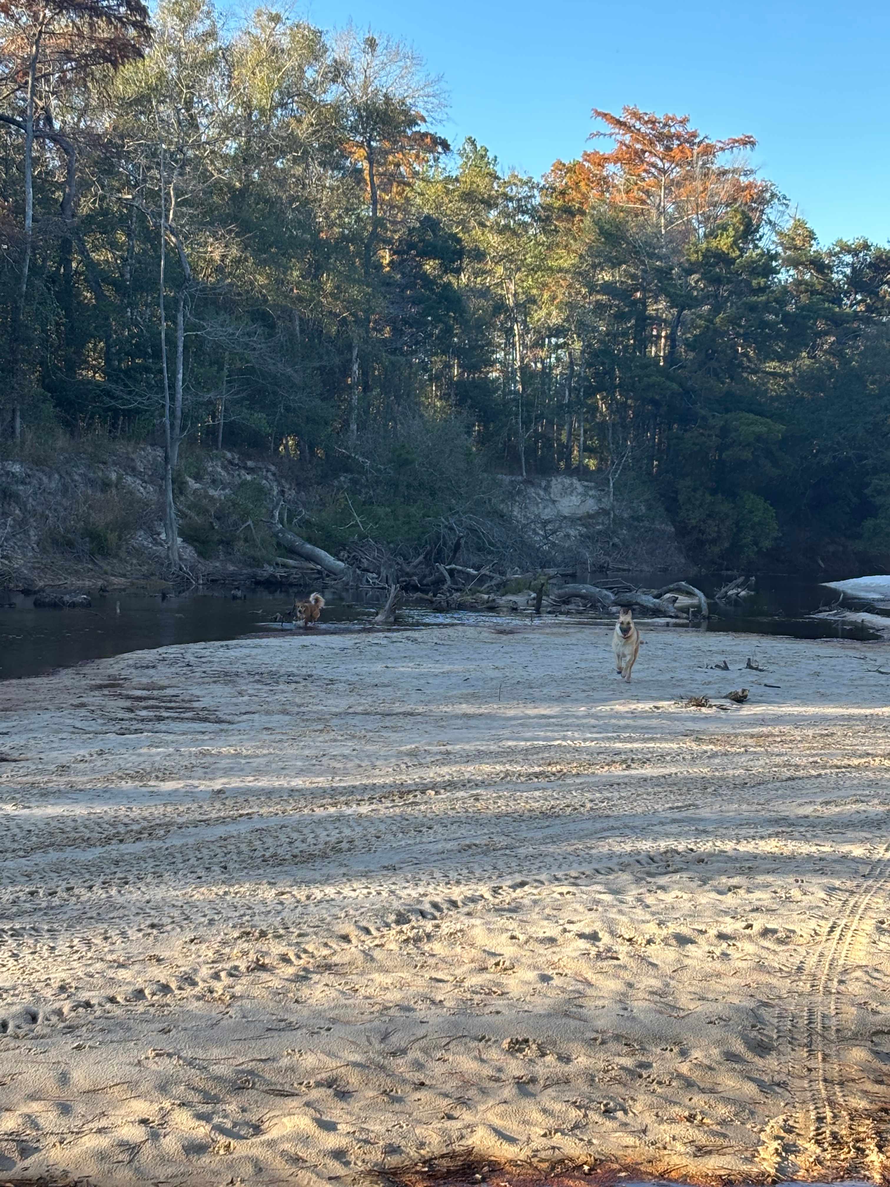 River Life Camping in Alabama