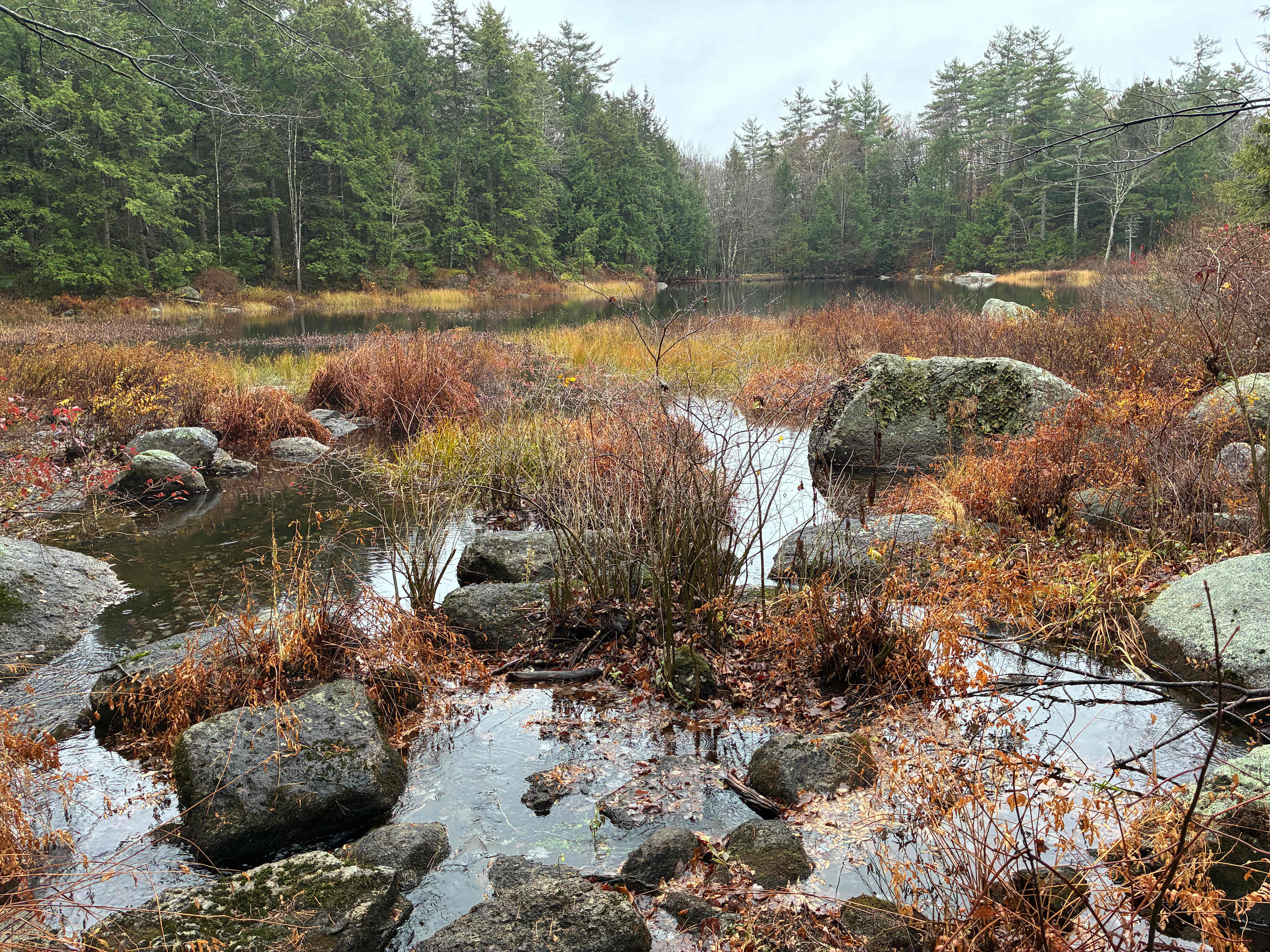 Willard Pond Sanctuary Retreat