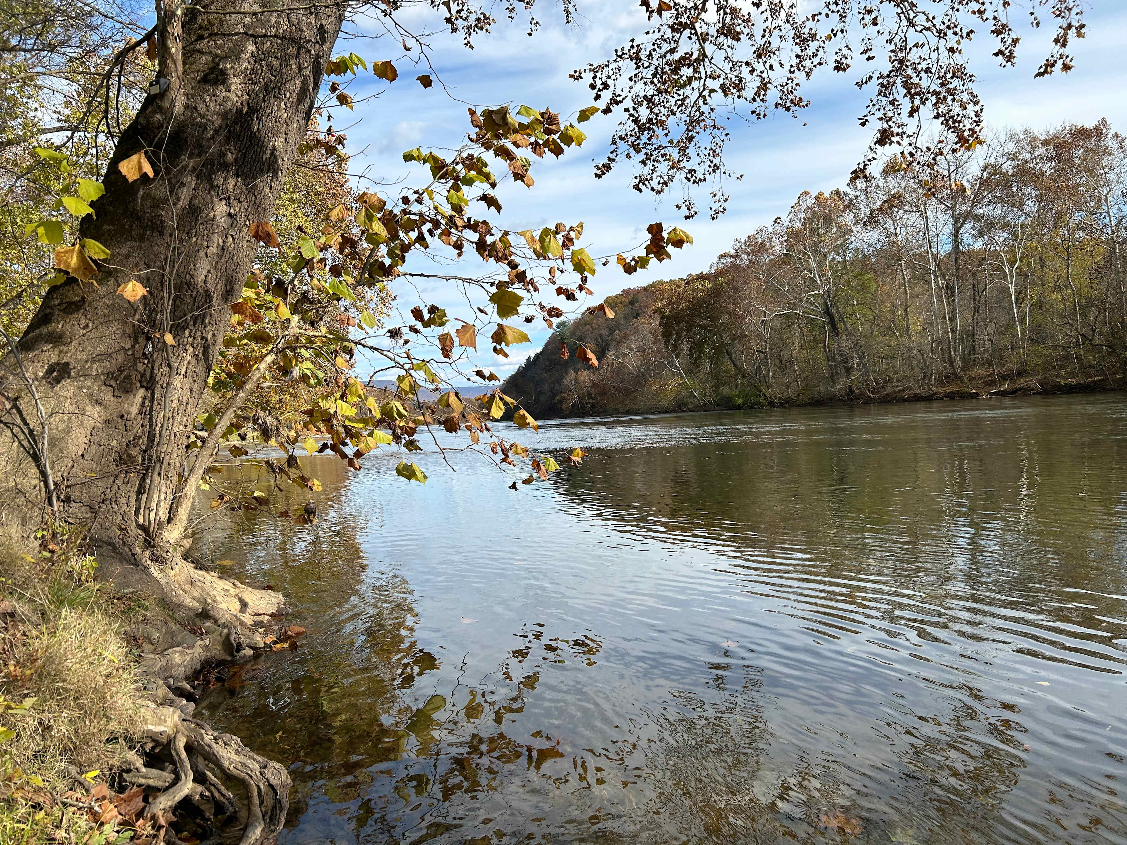 #1 Rock Tavern River Kamp