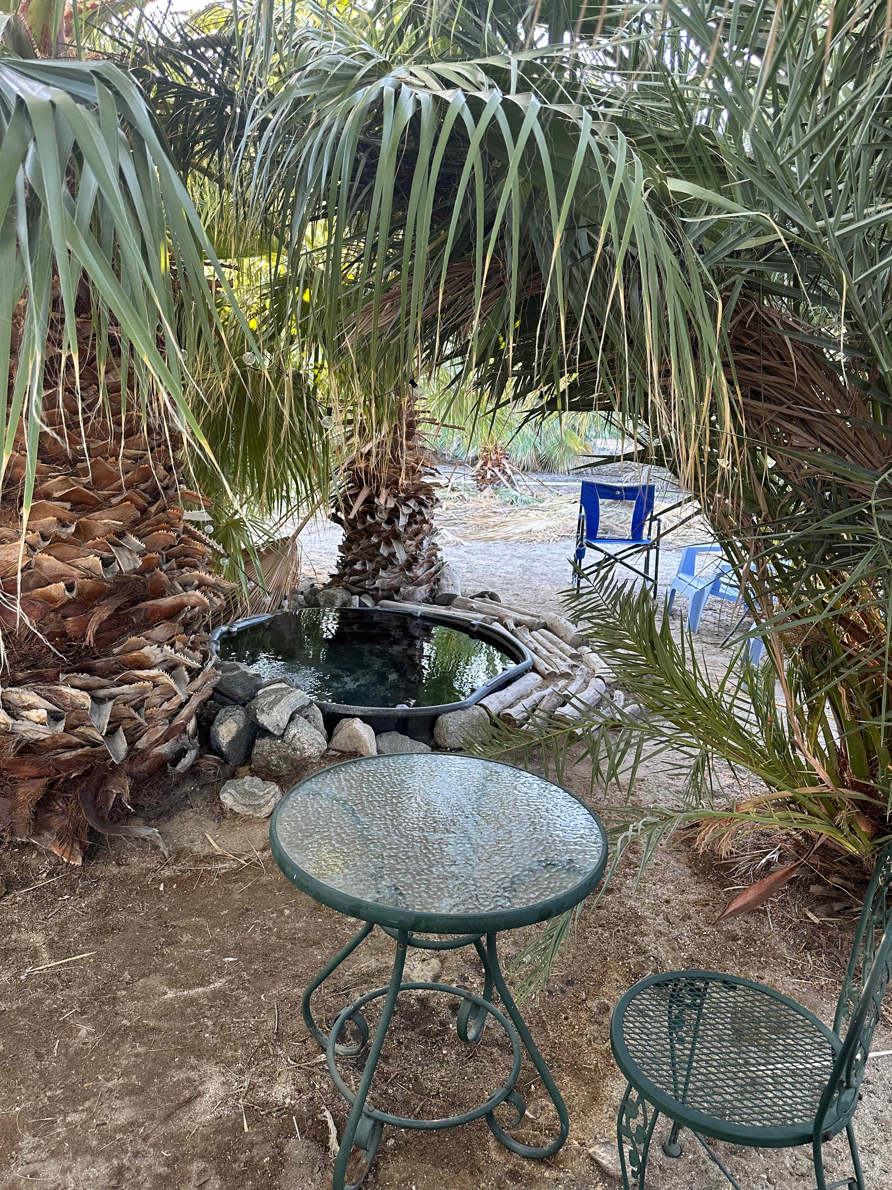 Mineral Spring Date Farm