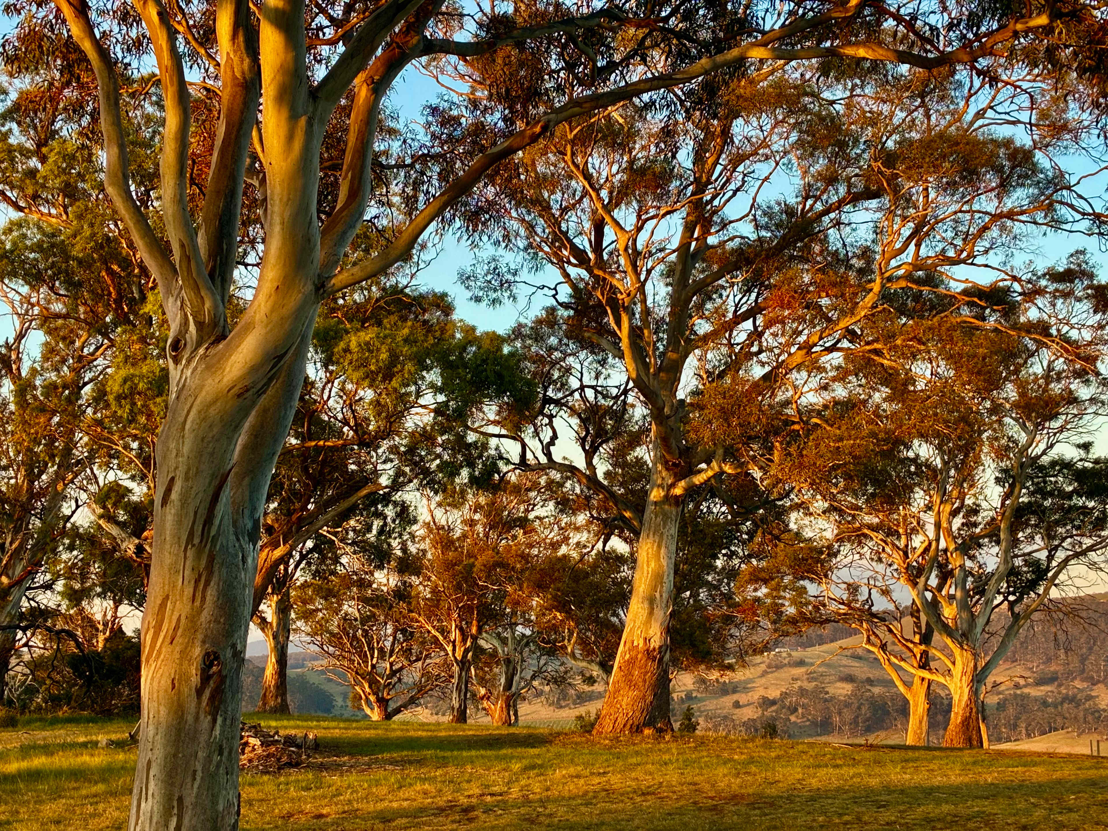 Prossers Ridge Richmond