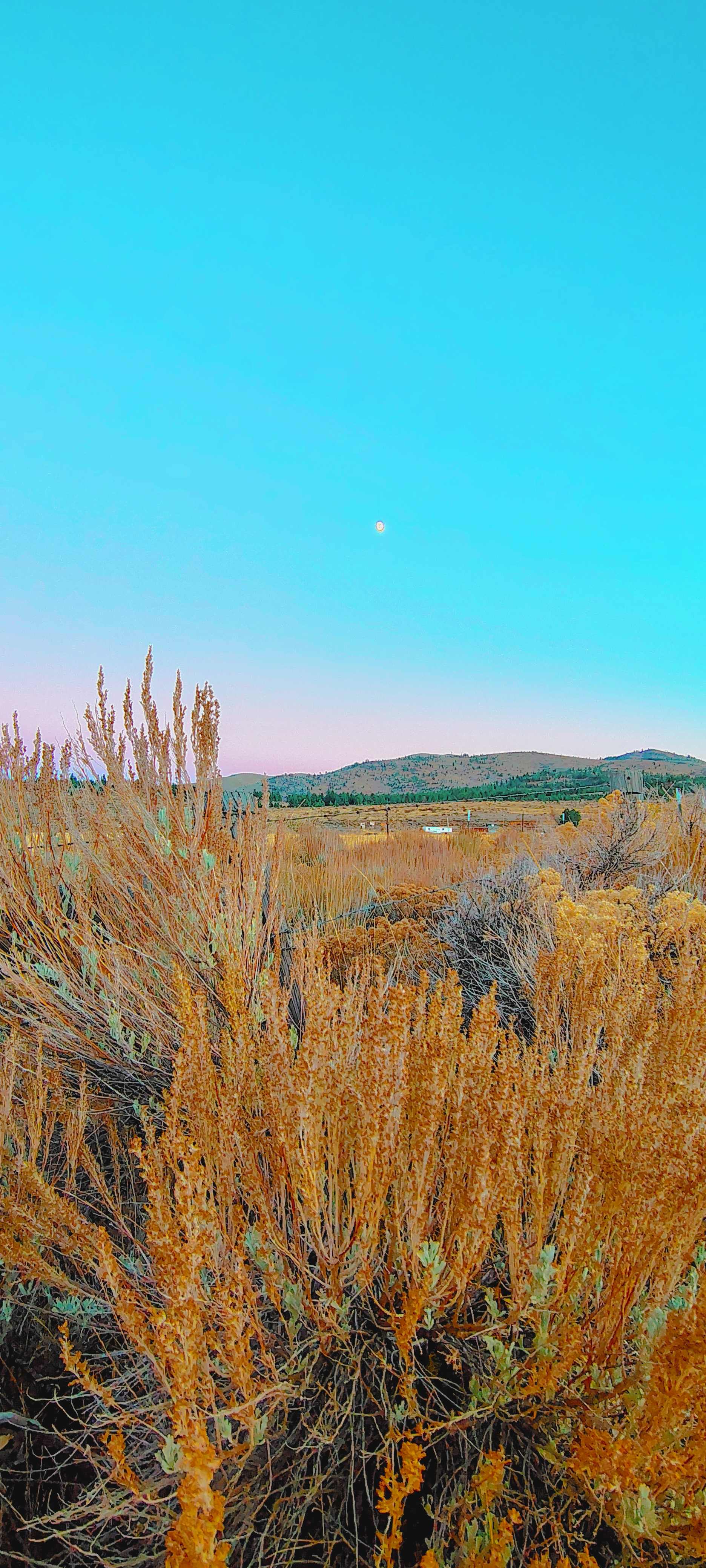 Flyte and Sparrow natural interlude