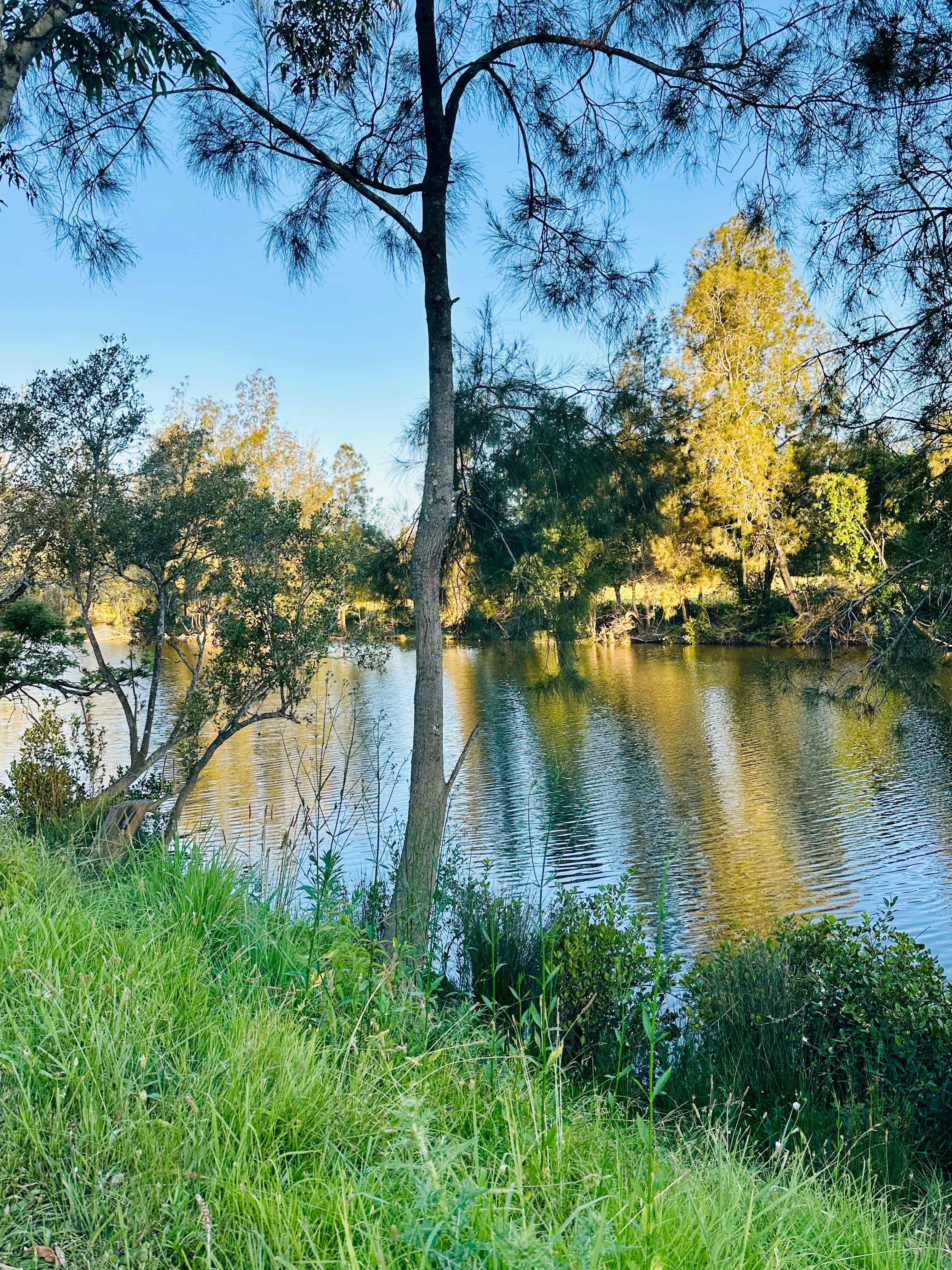 The Riverside Farm Escape Minimbah