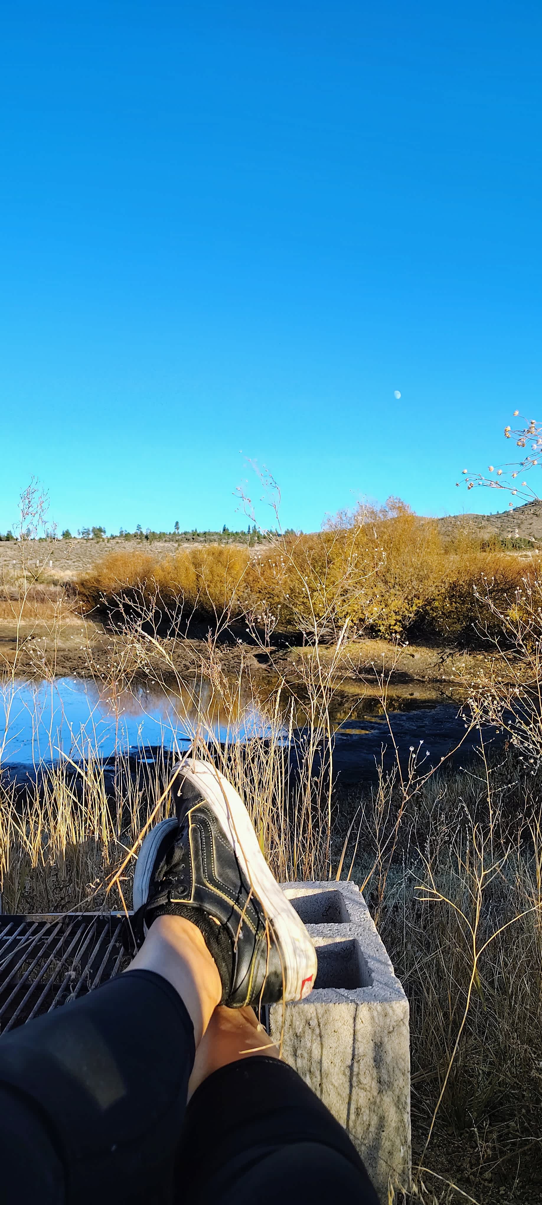 Flyte and Sparrow natural interlude