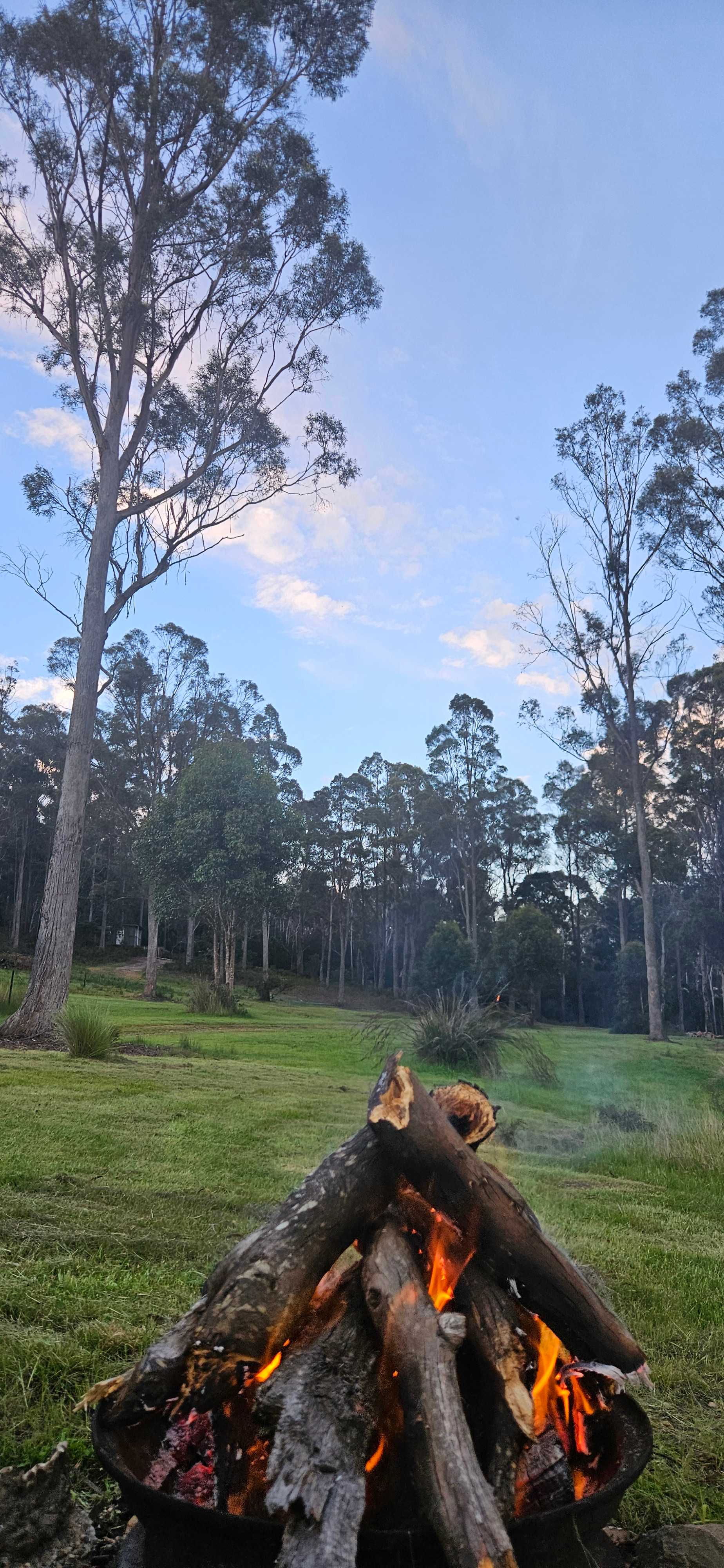 Farm on Franklin - Tasmania