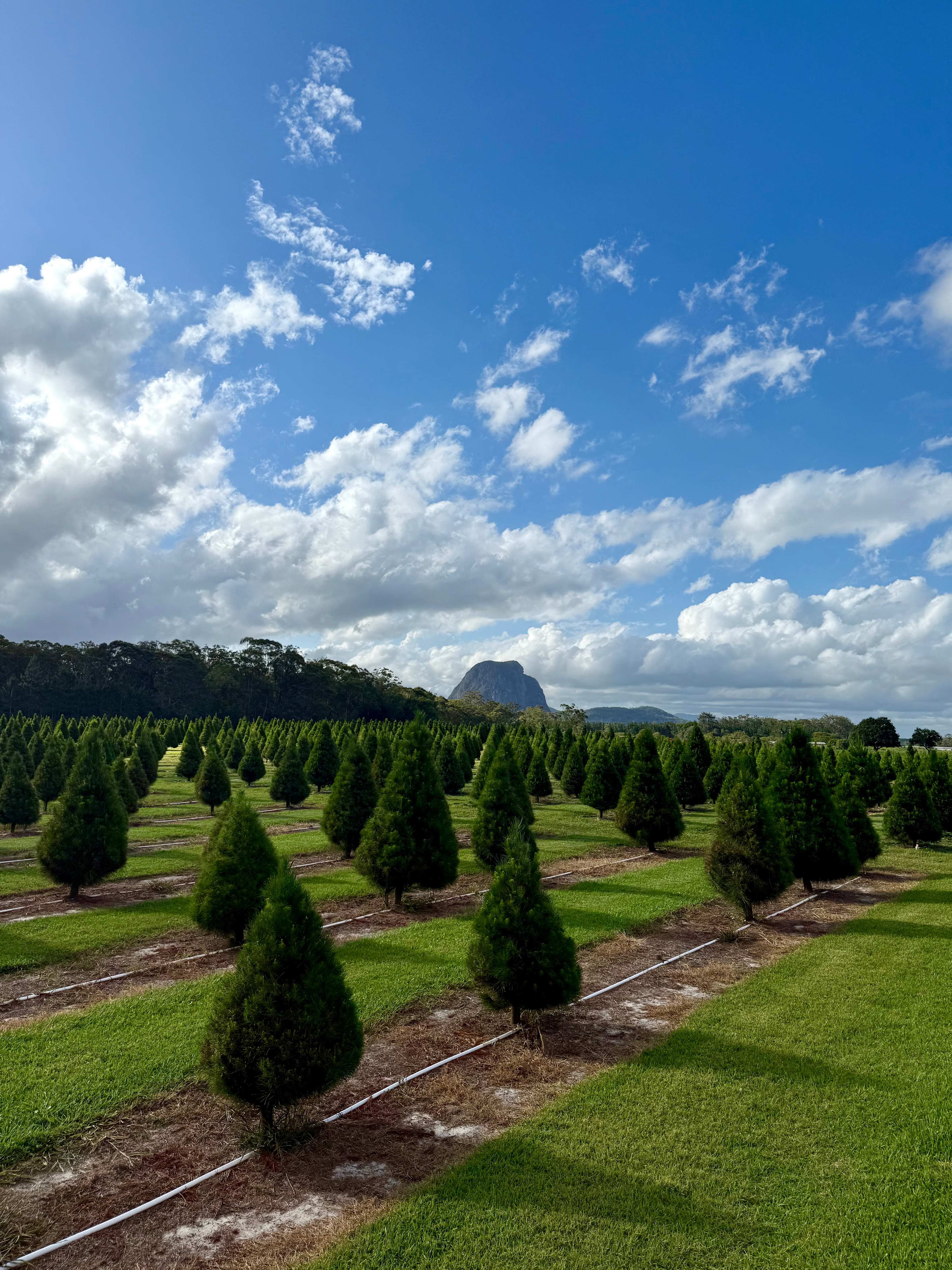 Mountain Country Farm Stay