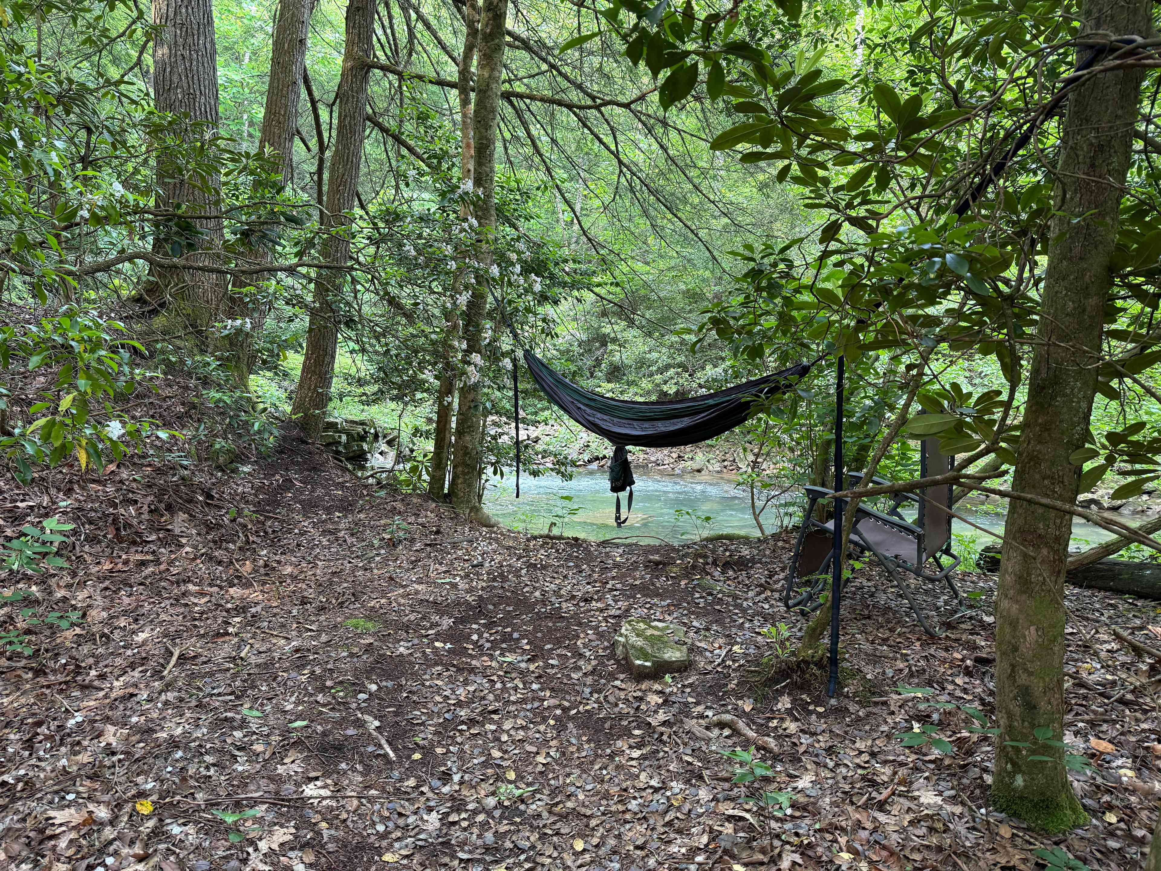 maybe the best hammock spot i’ve ever found 