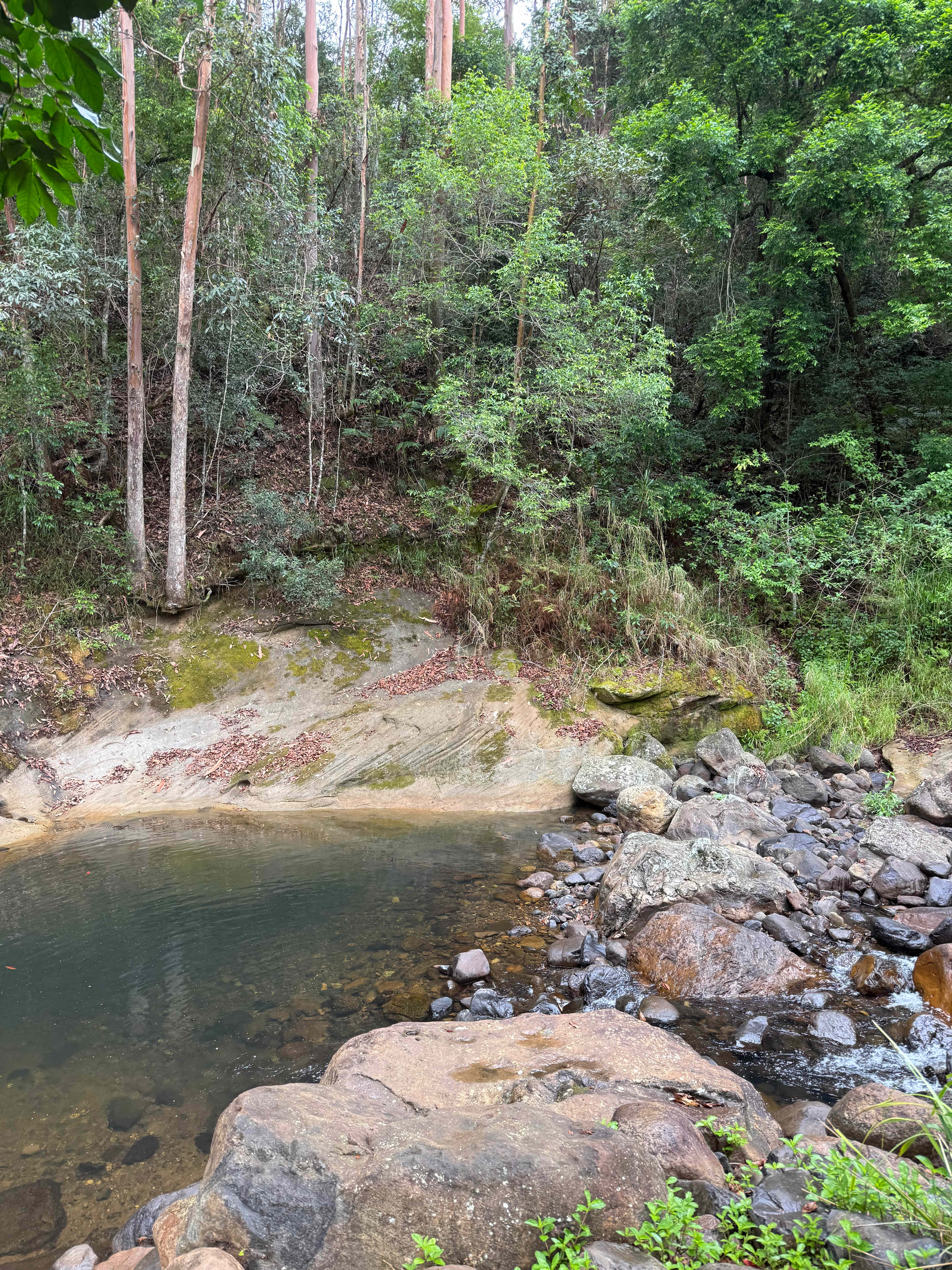 Cedar Waters Regen. Living Hub