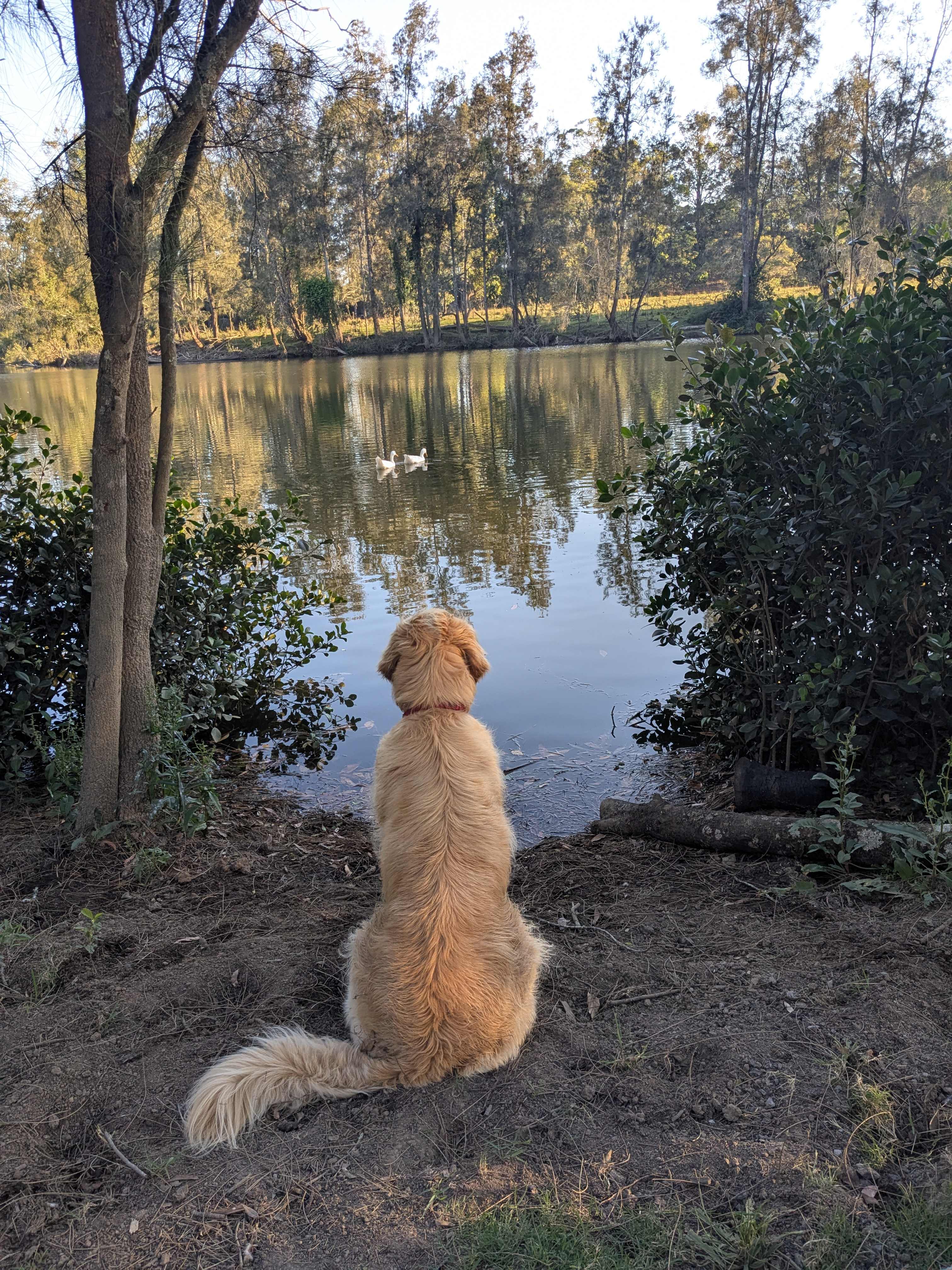 The Riverside Farm Escape Minimbah