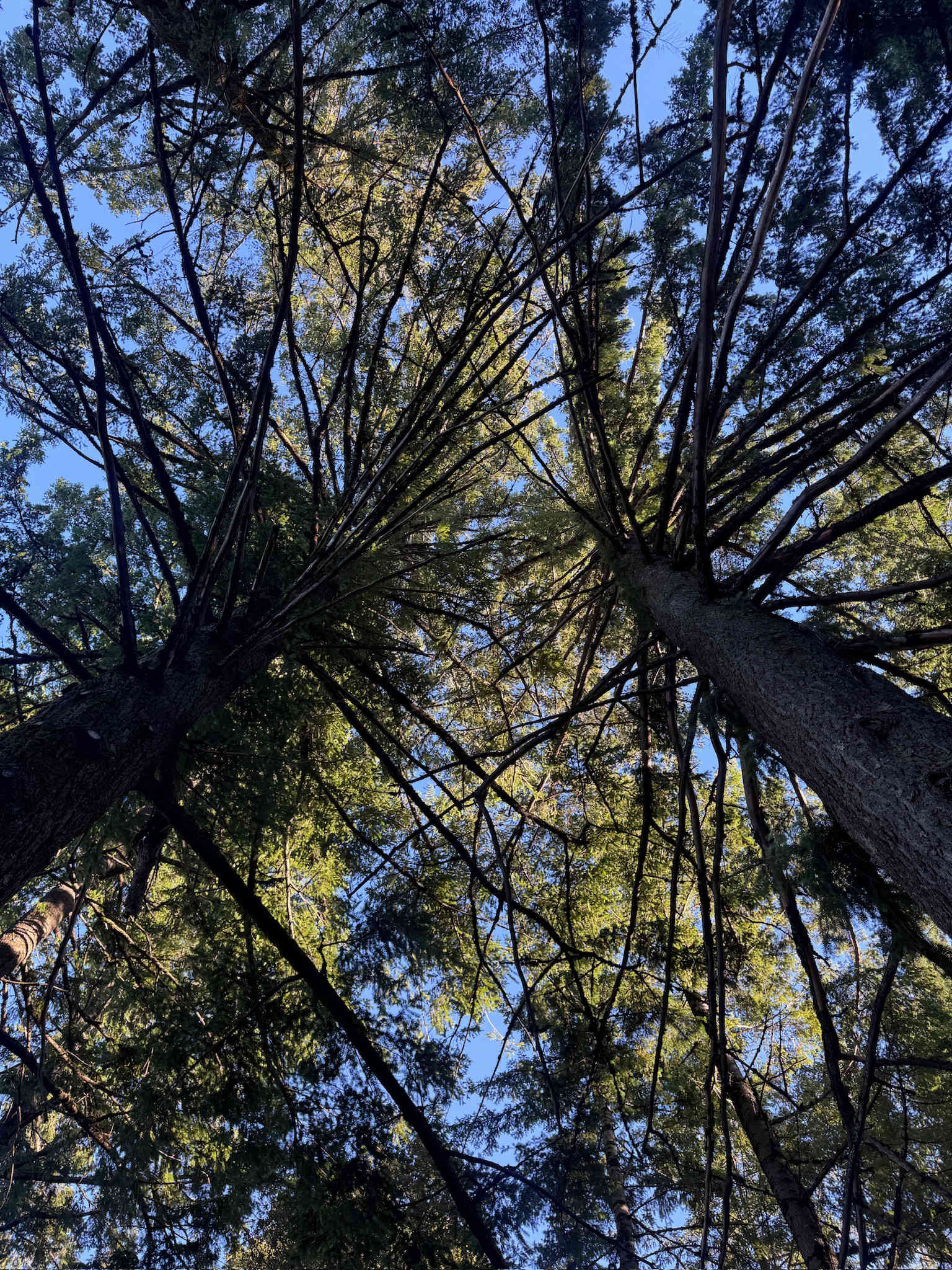 May's Luxury Farmstays